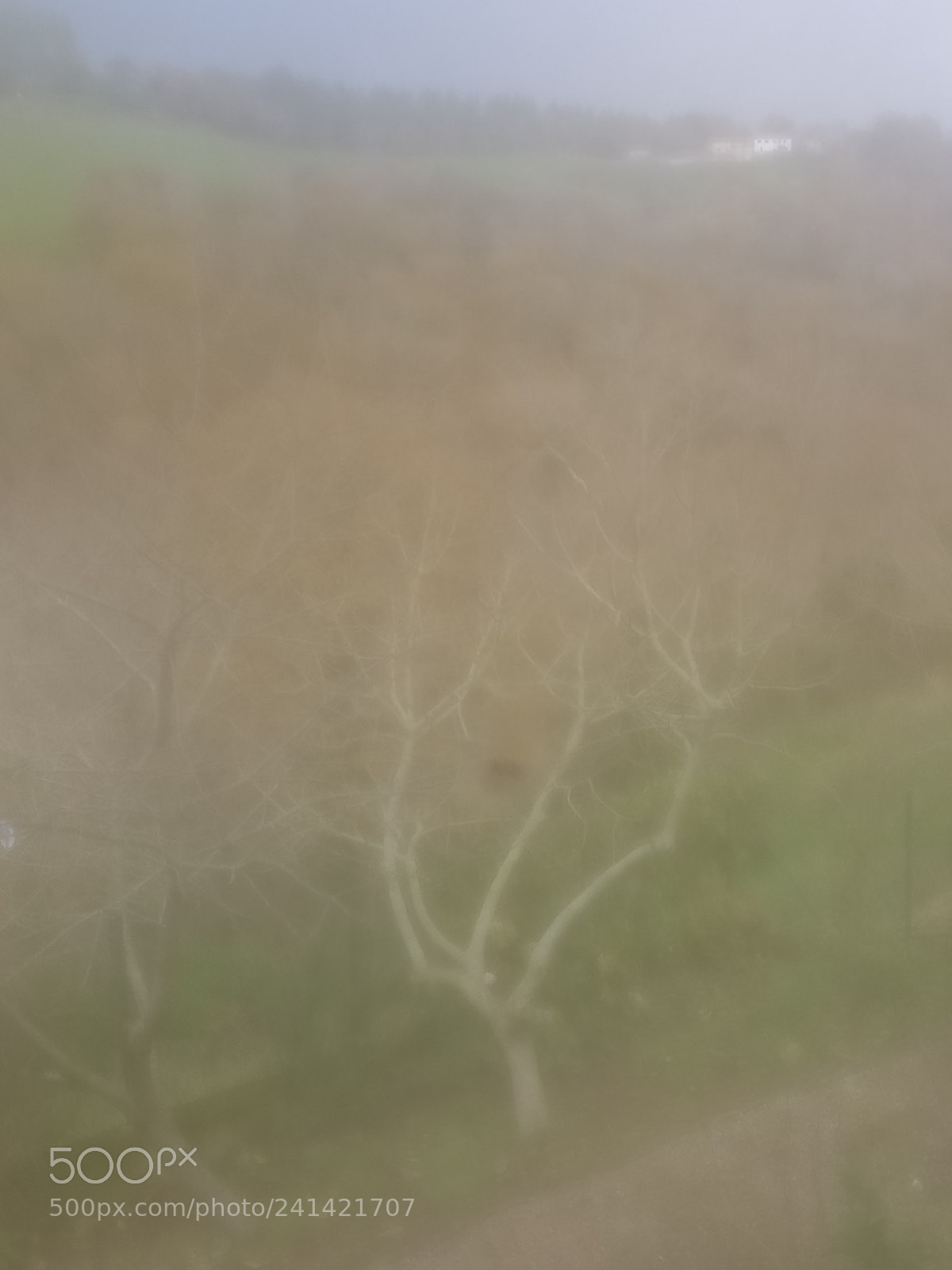 OnePlus A3003 sample photo. Pastel photography