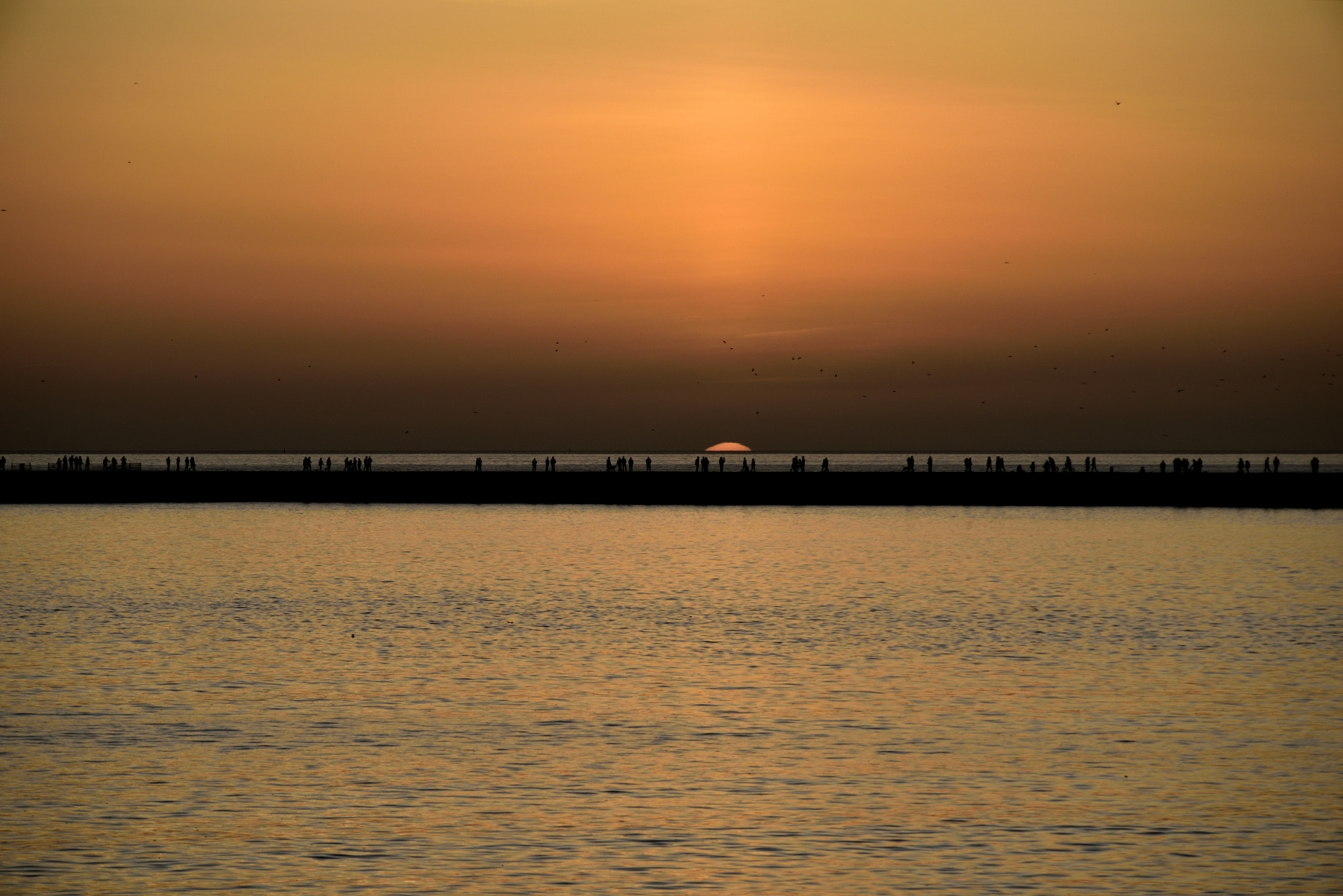 Nikon D810 + AF Nikkor 70-210mm f/4-5.6 sample photo. Por do sol ferragurado (lagoa) () photography