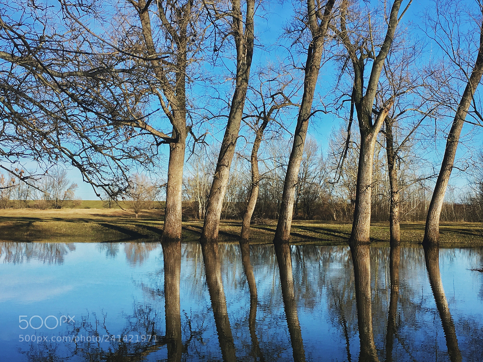 Apple iPhone 6s sample photo. Early morning reflections in photography