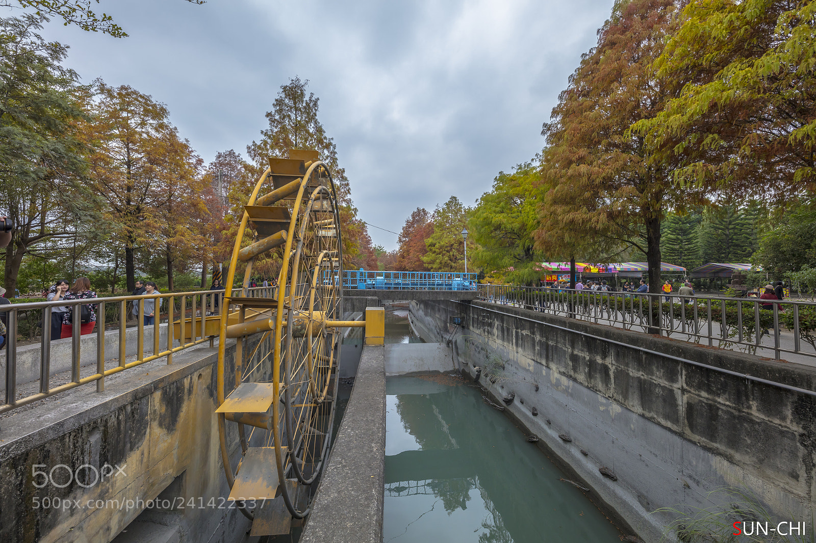 Canon EOS 5DS sample photo. 落羽松 photography