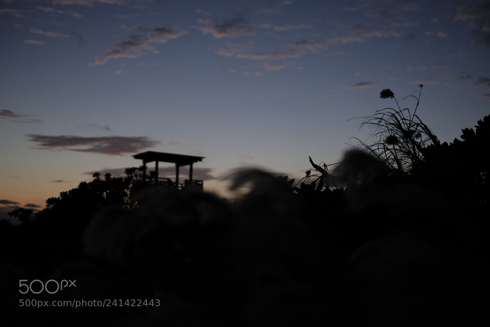 Fujifilm X-Pro2 sample photo. Untitled photography