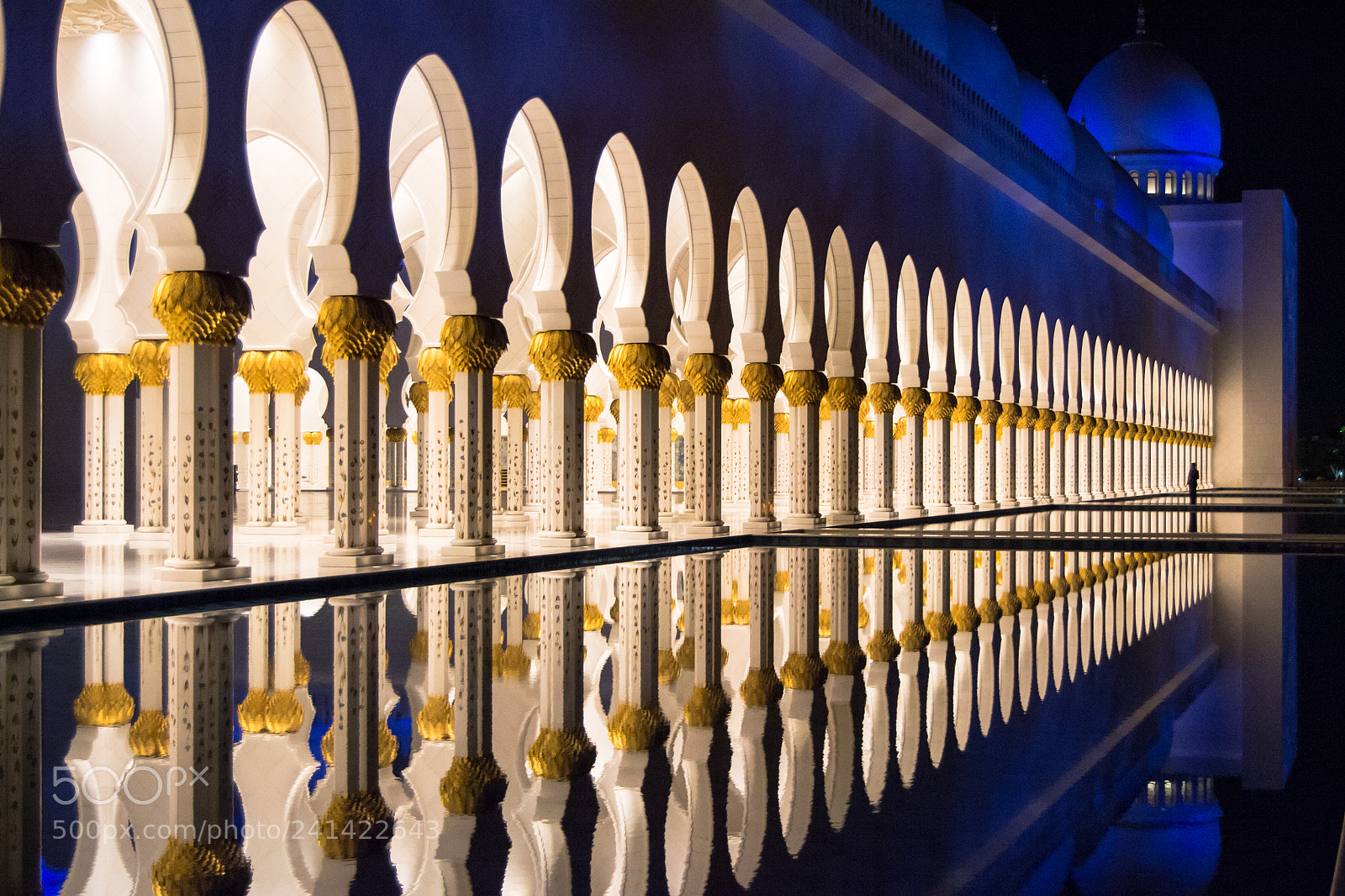 Nikon D3100 sample photo. The reflection of the photography