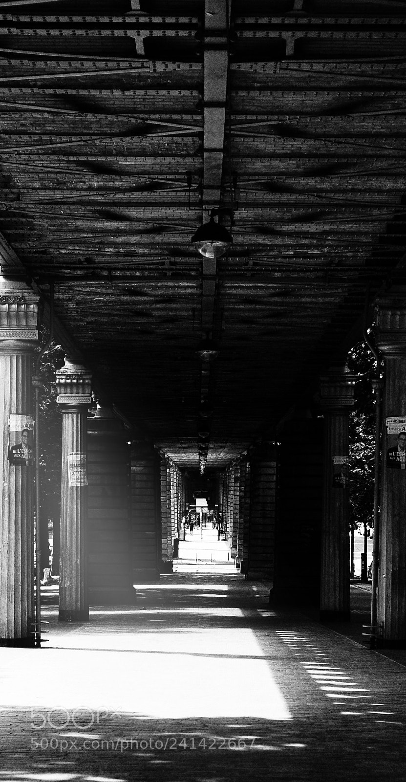 Nikon D300 sample photo. Walk alley photography