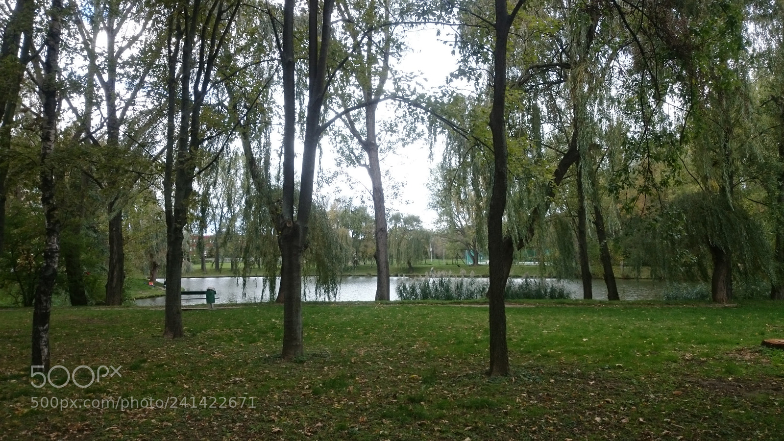 Sony Xperia Z2 sample photo. Sopron,hungary photography