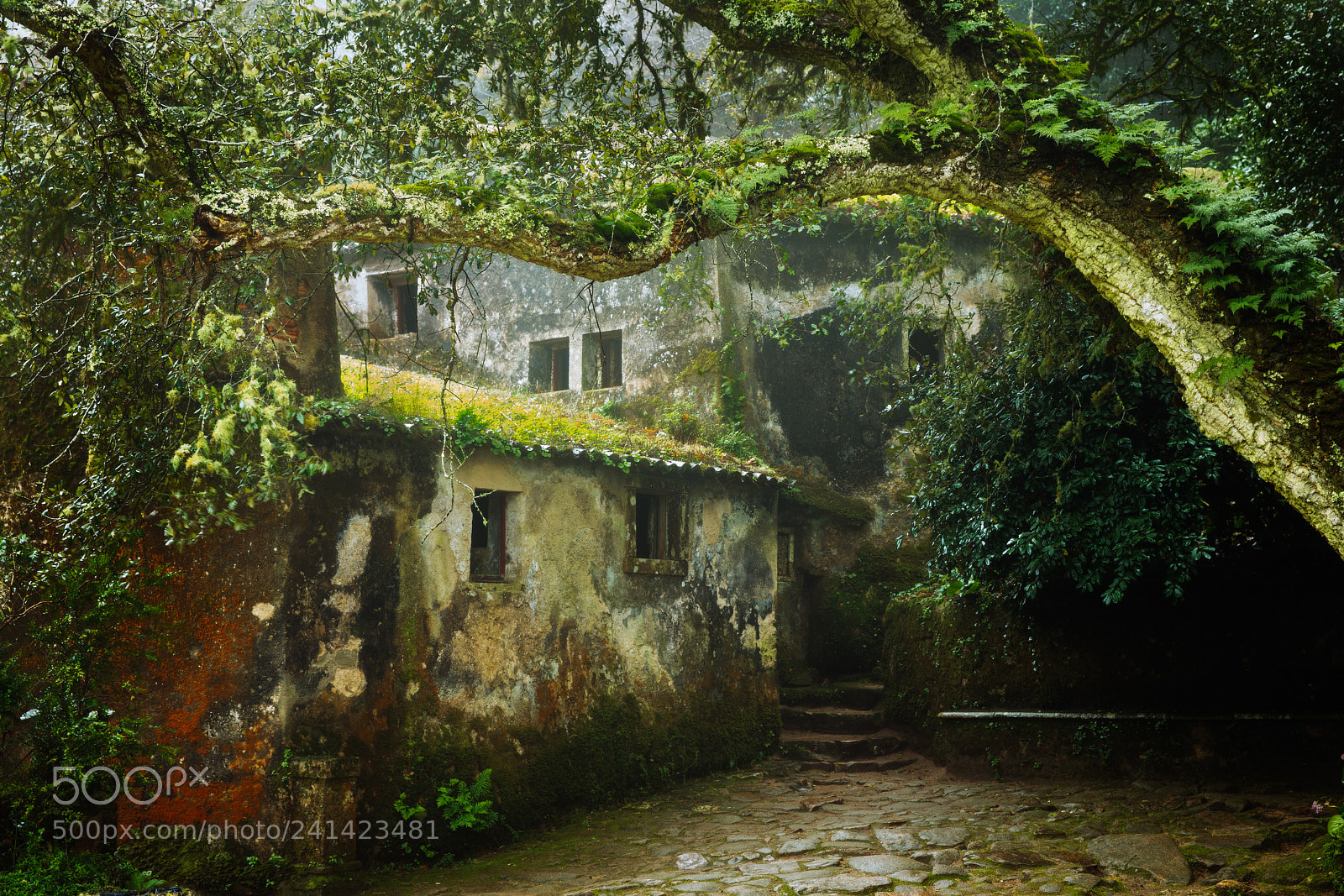 Canon EOS 5DS R sample photo. The monastery photography