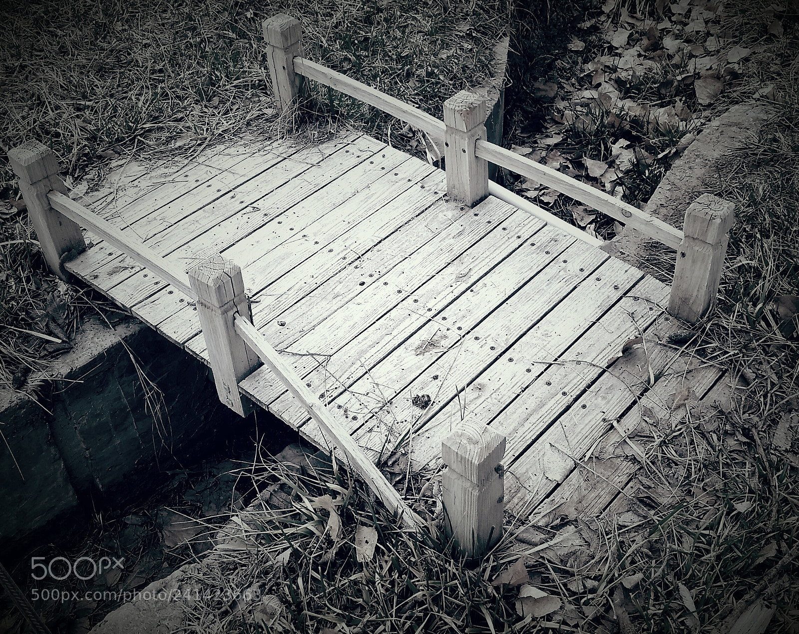 Samsung Galaxy S5 sample photo. Tiny bridge photography