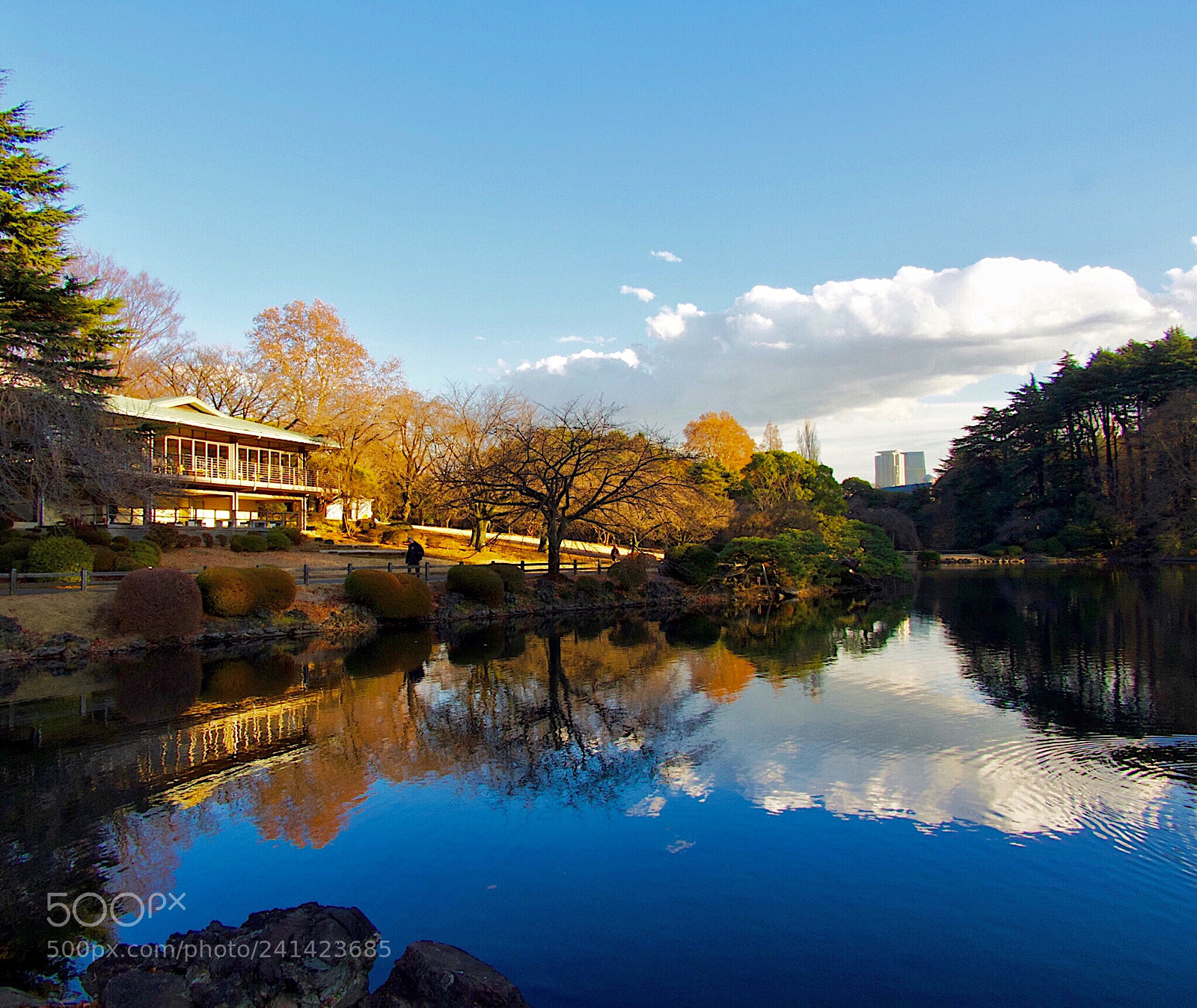 Nikon Coolpix B700 sample photo. Shinjuku gyoen national garden photography
