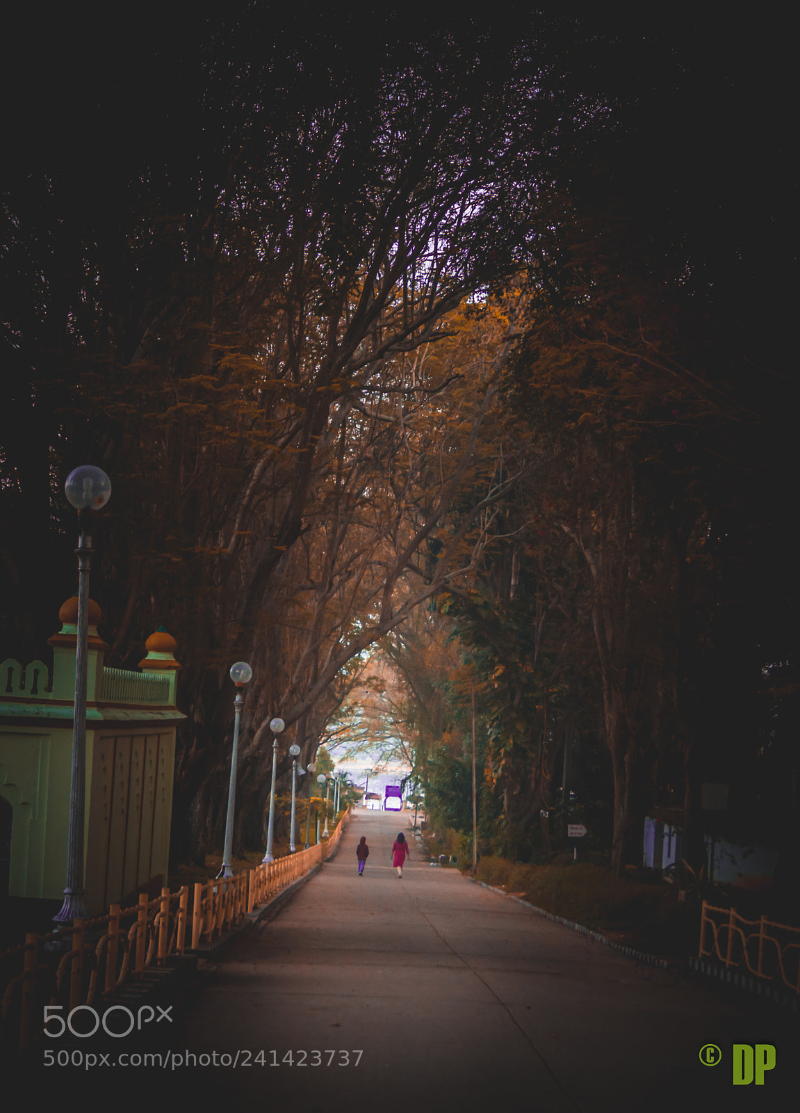 Nikon D7200 sample photo. Morning !!! photography