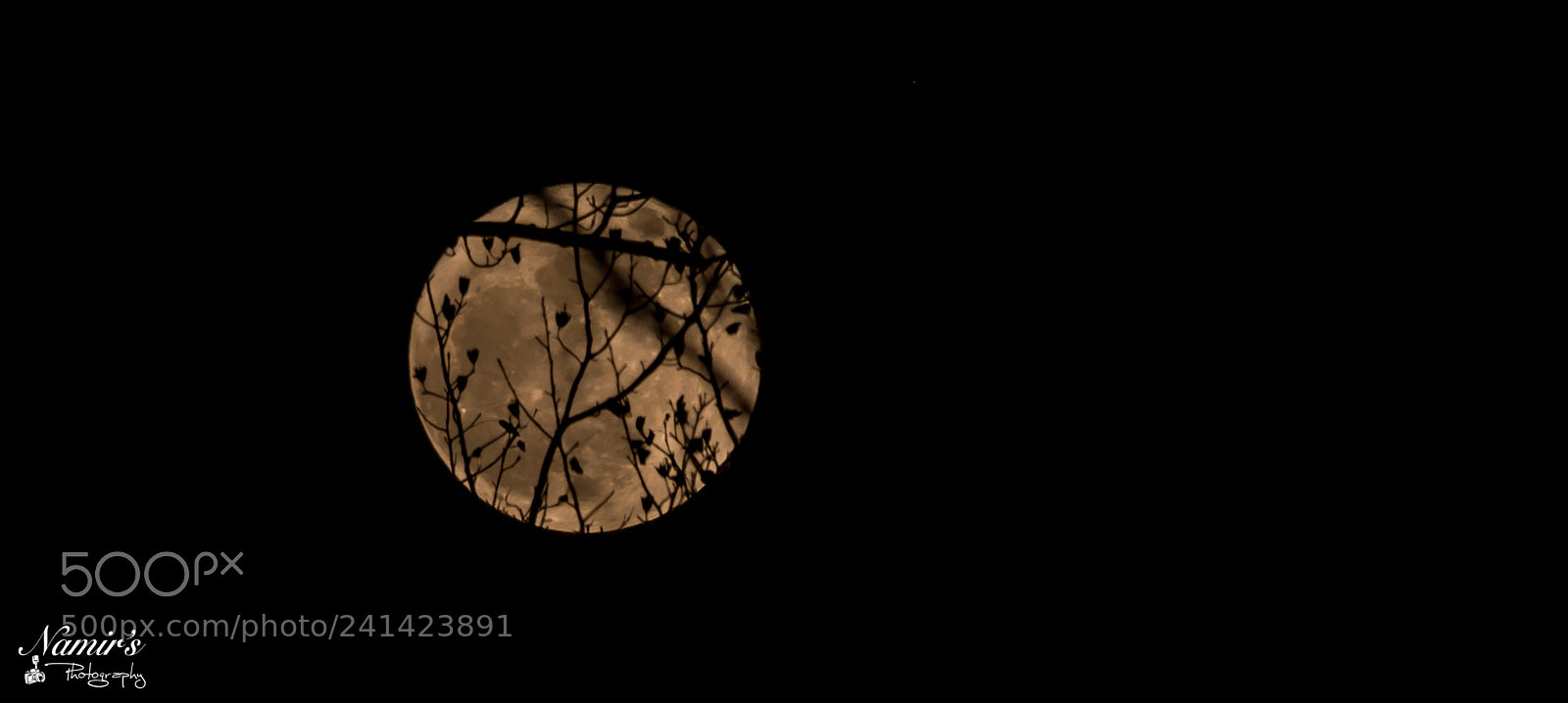 Nikon D500 sample photo. Supermoon in reston photography