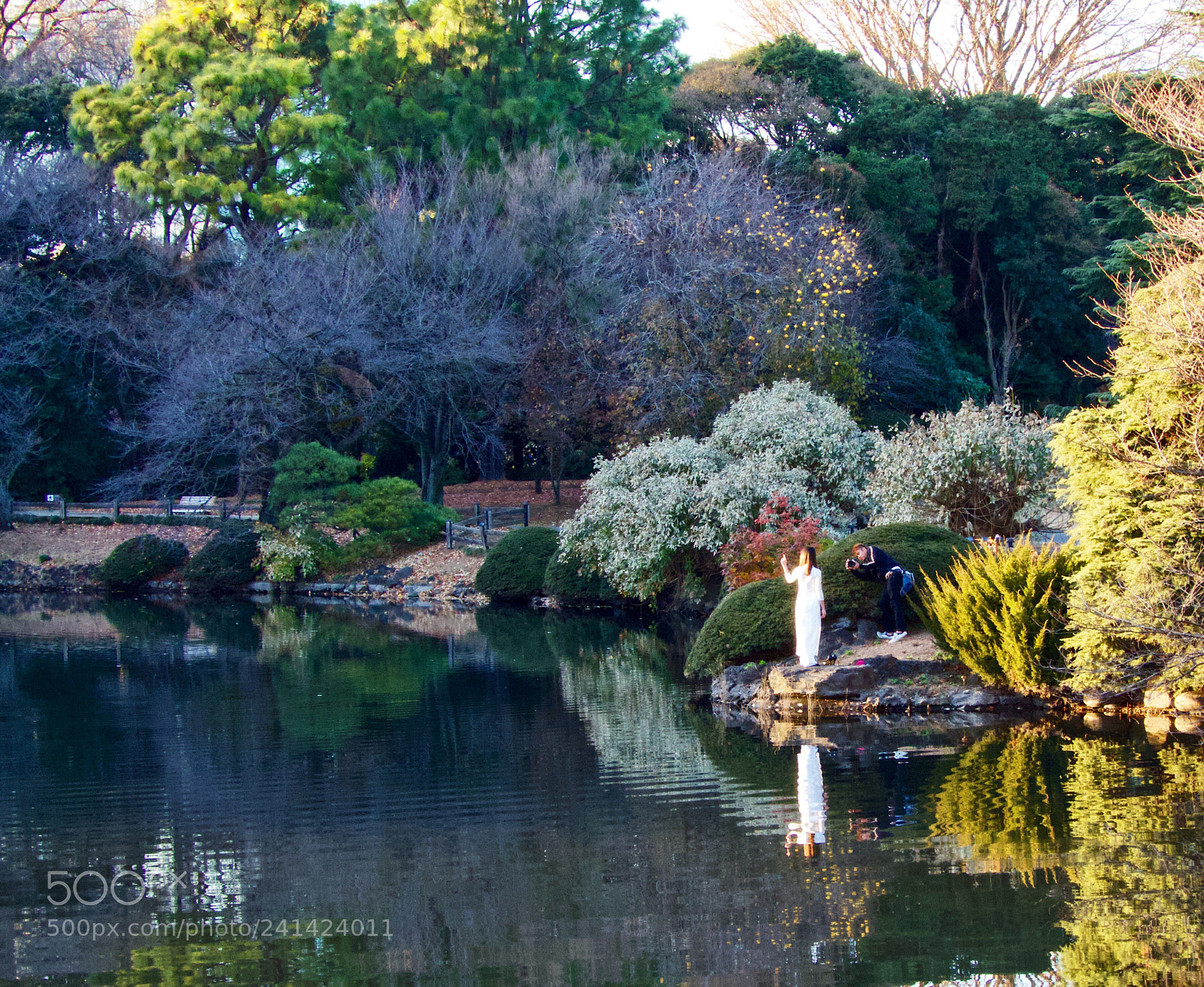 Nikon Coolpix B700 sample photo. Beautiful shinjuku gyoen national photography