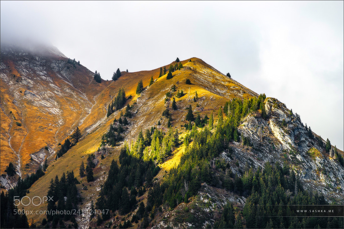 Sony Alpha a99 sample photo. Beautiful slopes of high photography