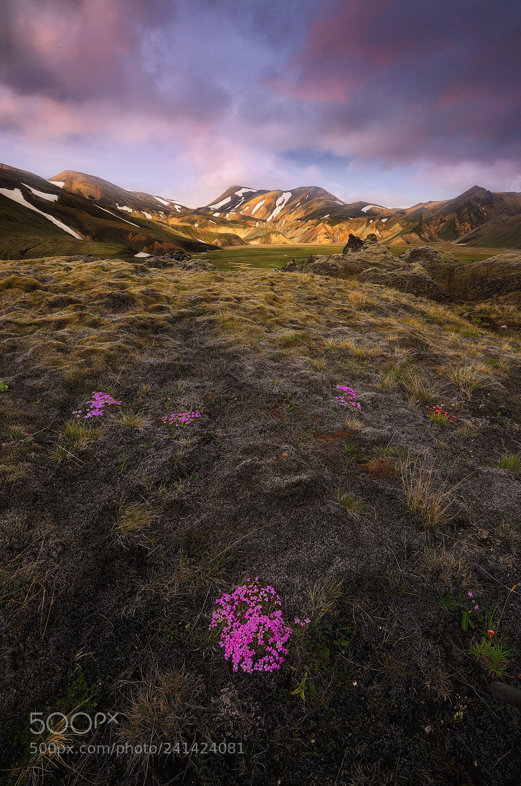 Canon EOS-1Ds Mark III sample photo. Landmannalaugar, iceland photography