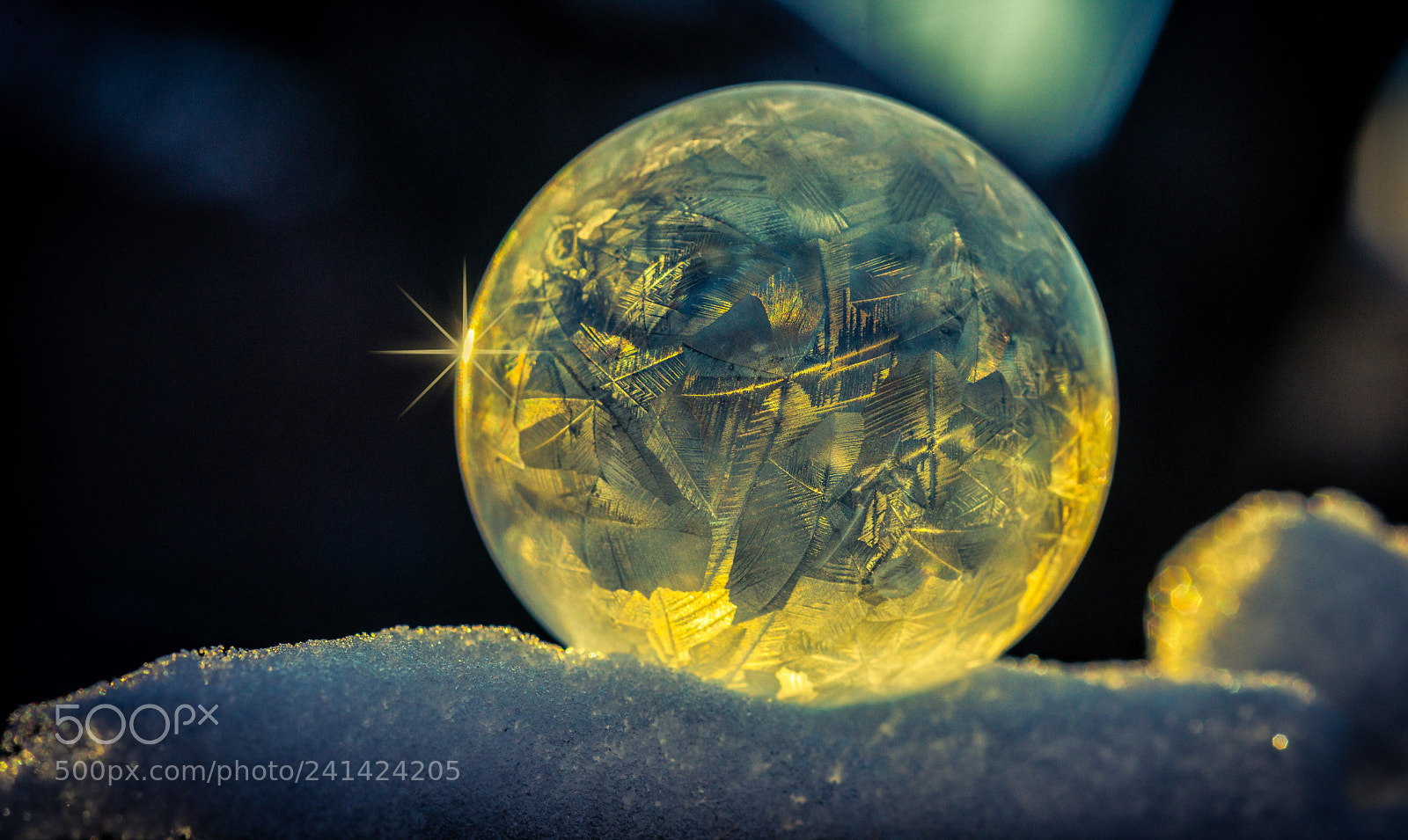 Nikon D600 sample photo. Frozen sunlight photography