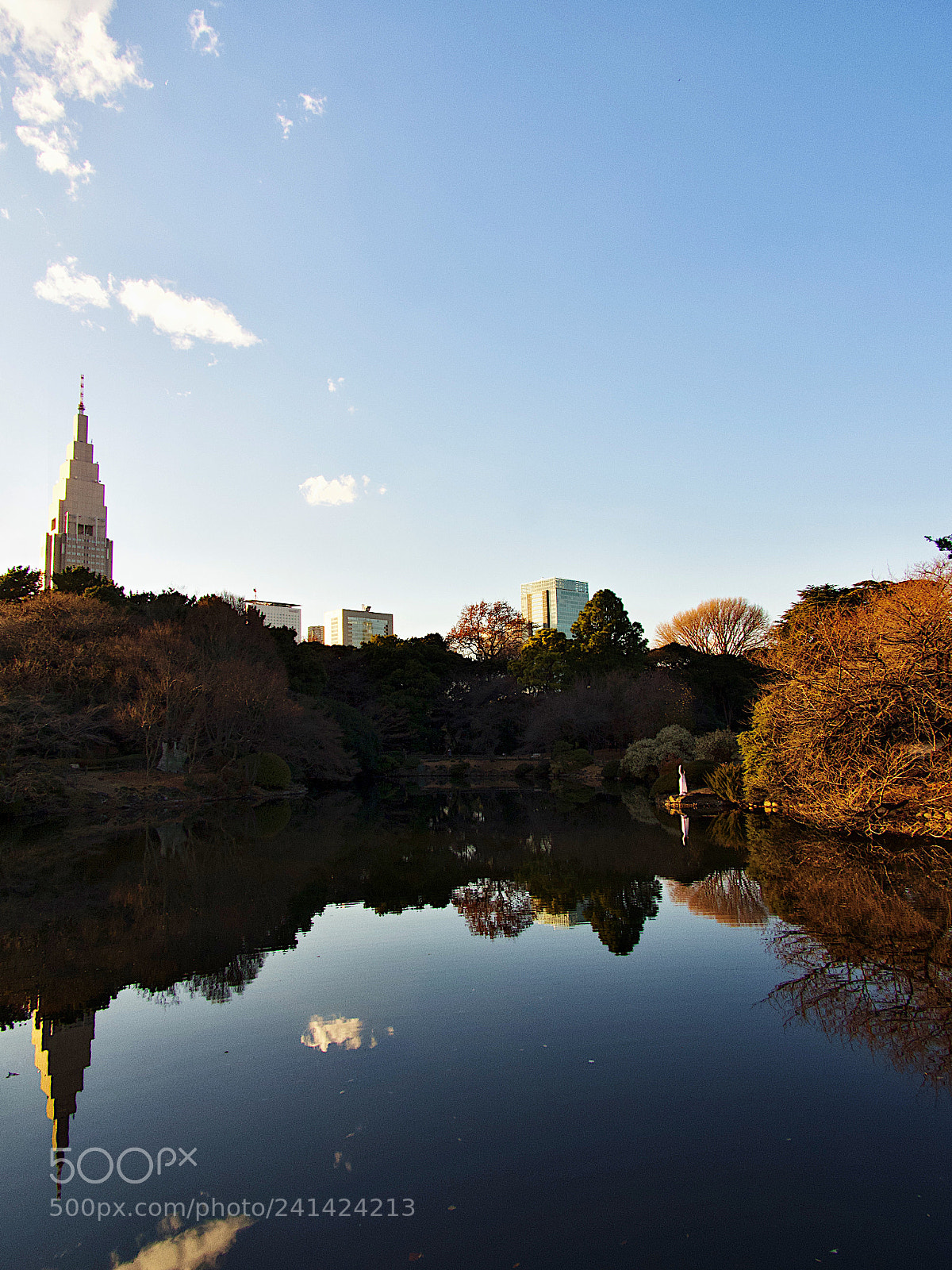Nikon Coolpix B700 sample photo. Shinjuku gyoen national garden photography