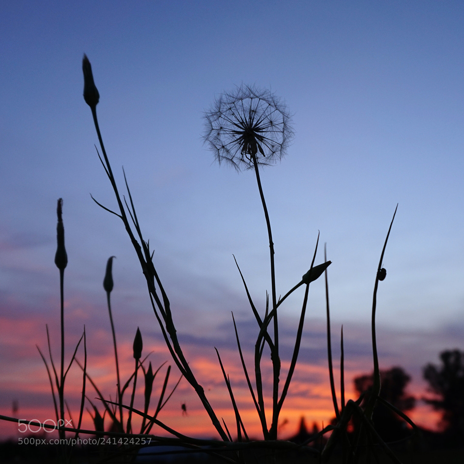 Sony Alpha a5000 (ILCE 5000) sample photo. Sunset close to the photography