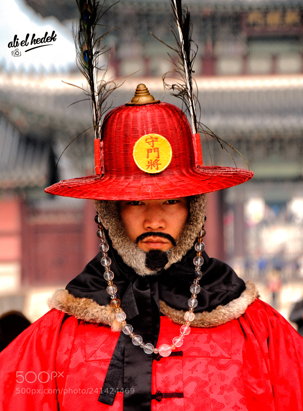 Nikon D200 sample photo. Guard photography
