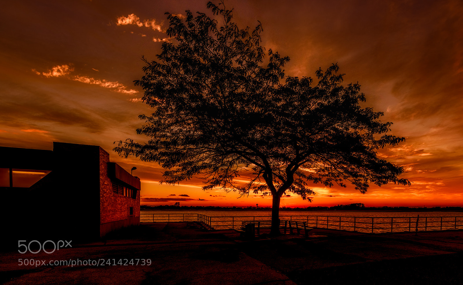 Nikon D810 sample photo. Splendor photography