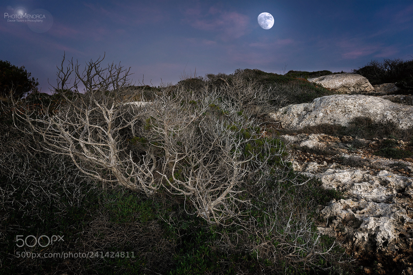 Sony SLT-A77 sample photo. Moonlight photography