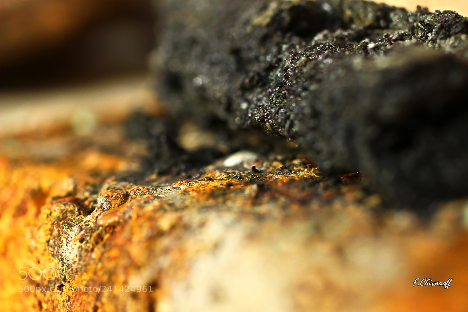 Canon EOS 100D (EOS Rebel SL1 / EOS Kiss X7) sample photo. Transformation photography