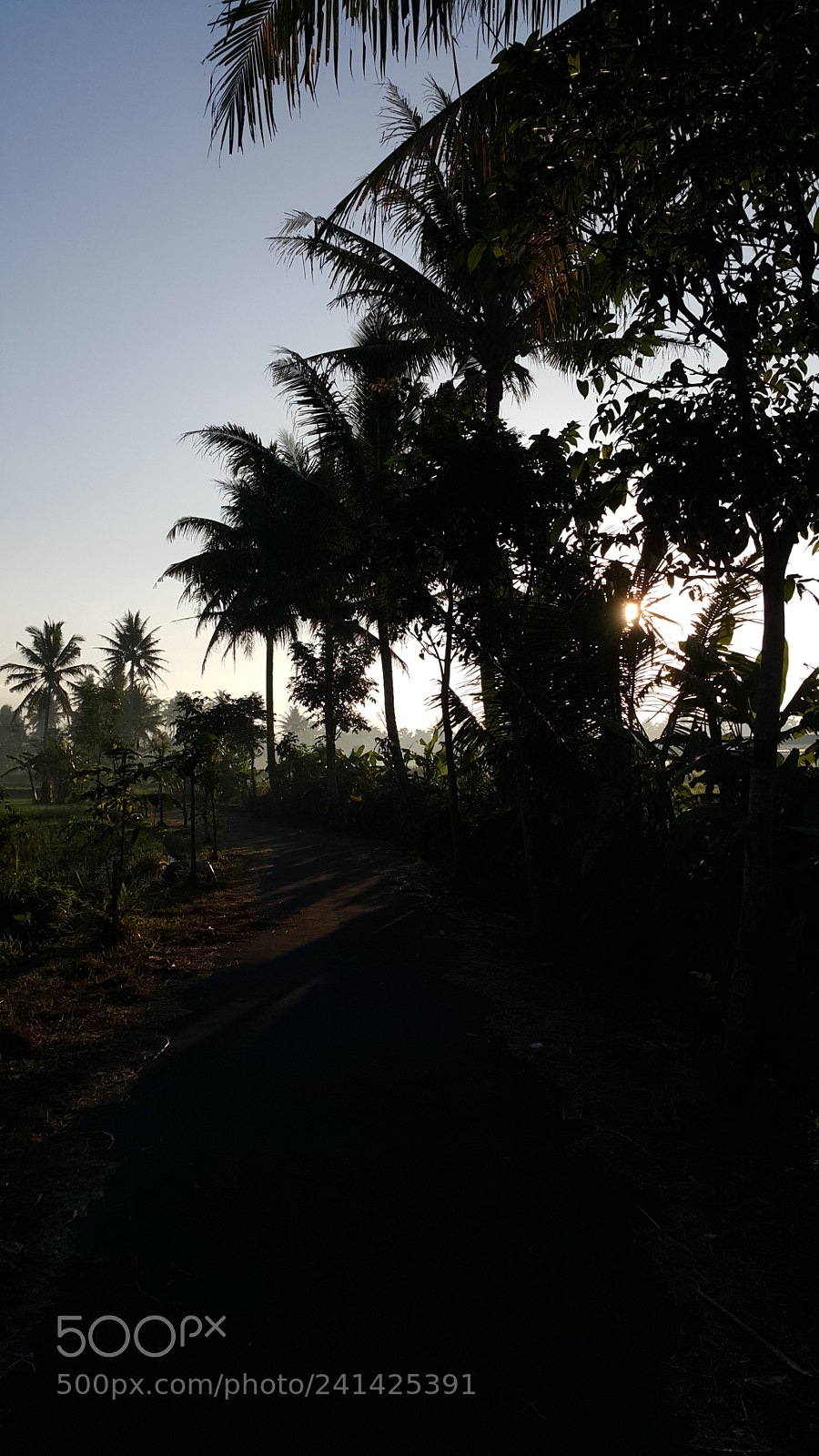 Samsung Galaxy Note4 sample photo. Silhouette photography