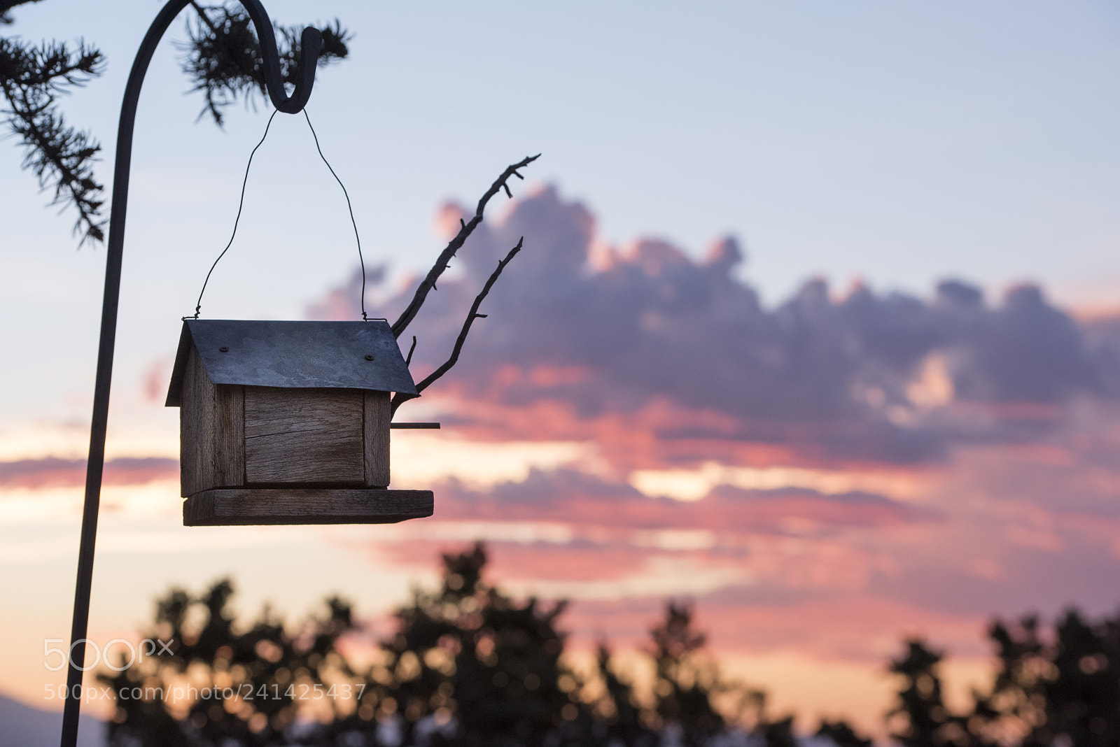 Nikon D810 sample photo. A home in the photography