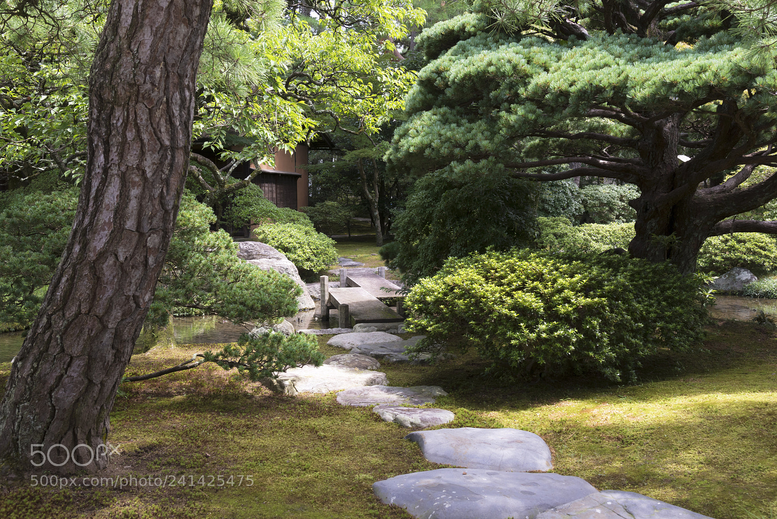 Nikon D600 sample photo. Light path photography