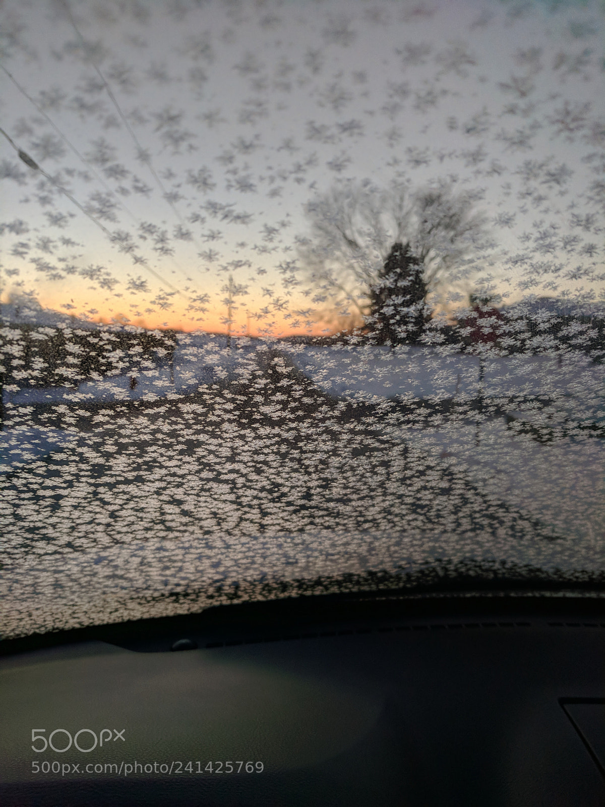 Google Pixel XL sample photo. Untitled photography