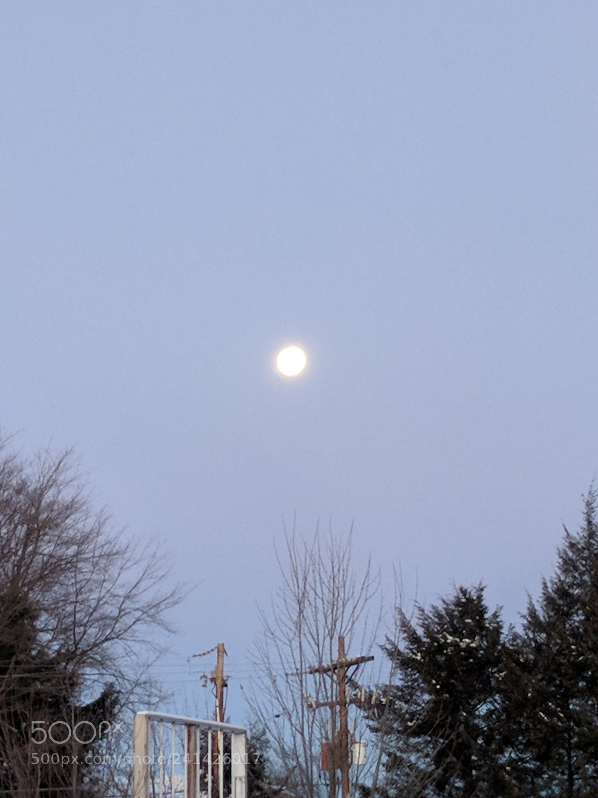 Google Pixel XL sample photo. Untitled photography
