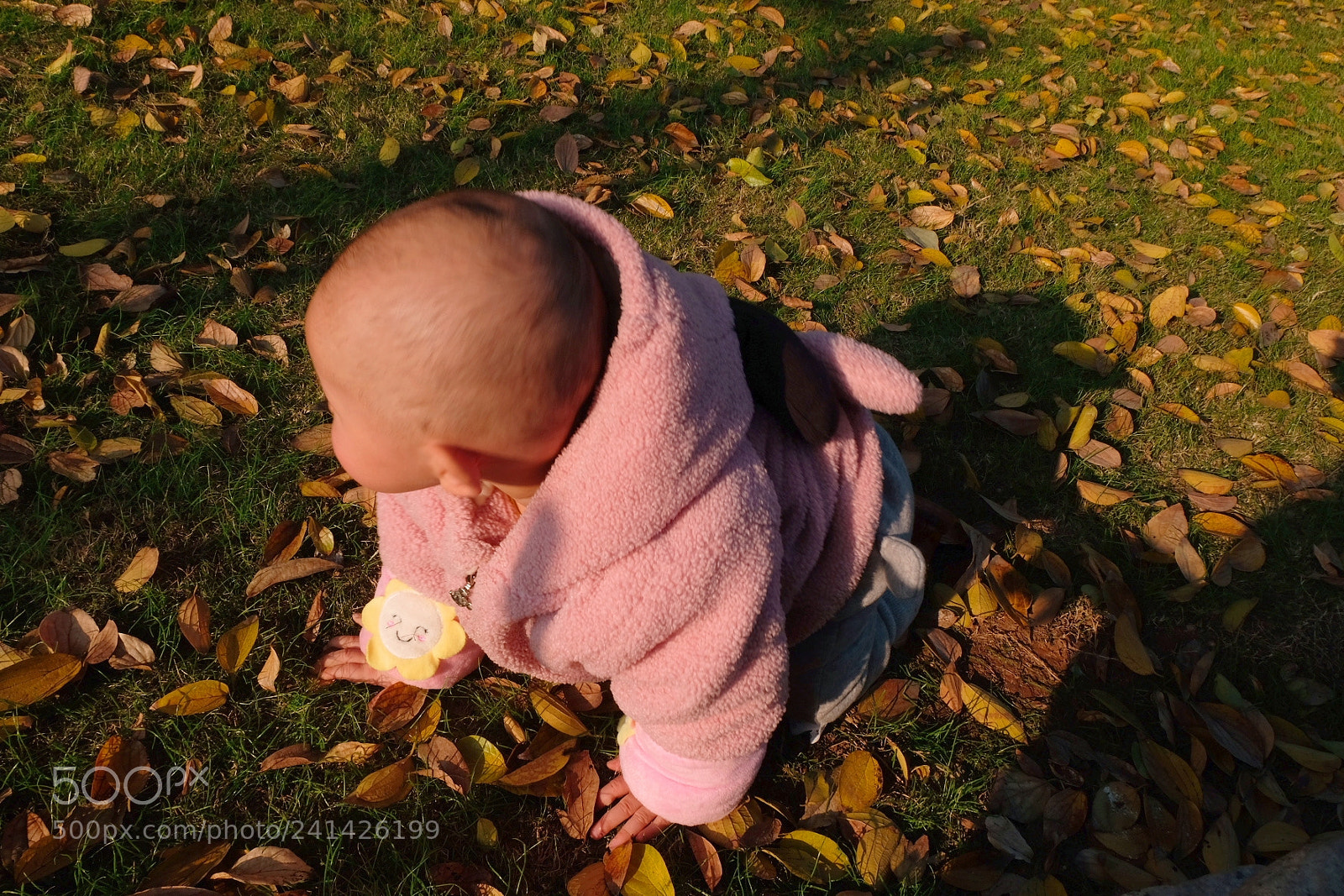 Fujifilm X-T20 sample photo. Untitled photography