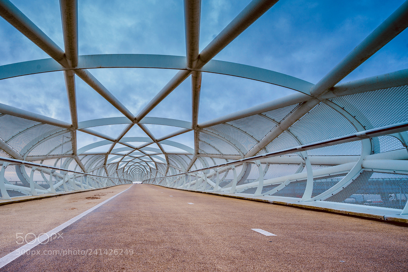 Sony a7R sample photo. Netkous rotterdam photography