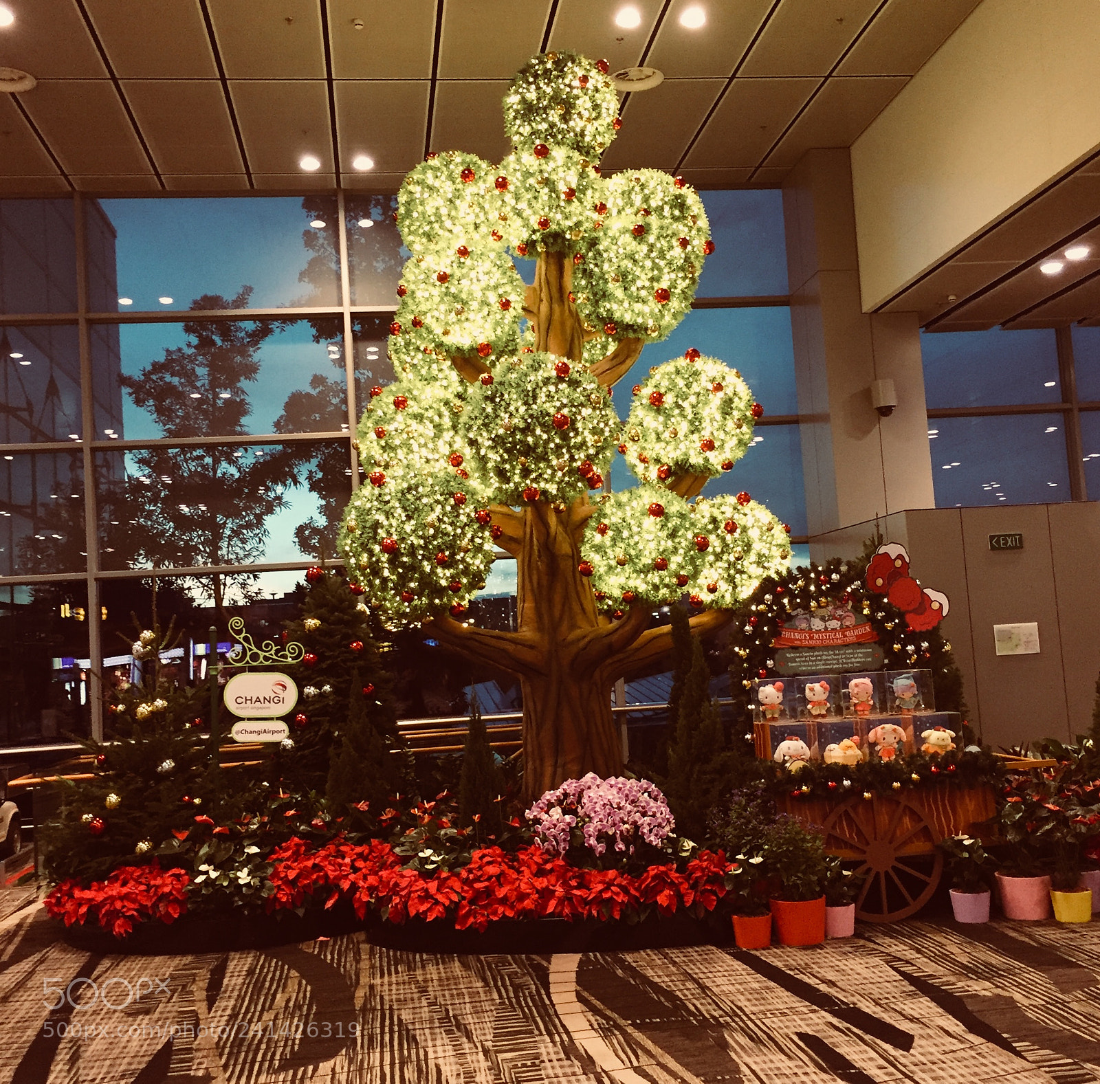 Apple iPhone 6 sample photo. Christmas tree photography