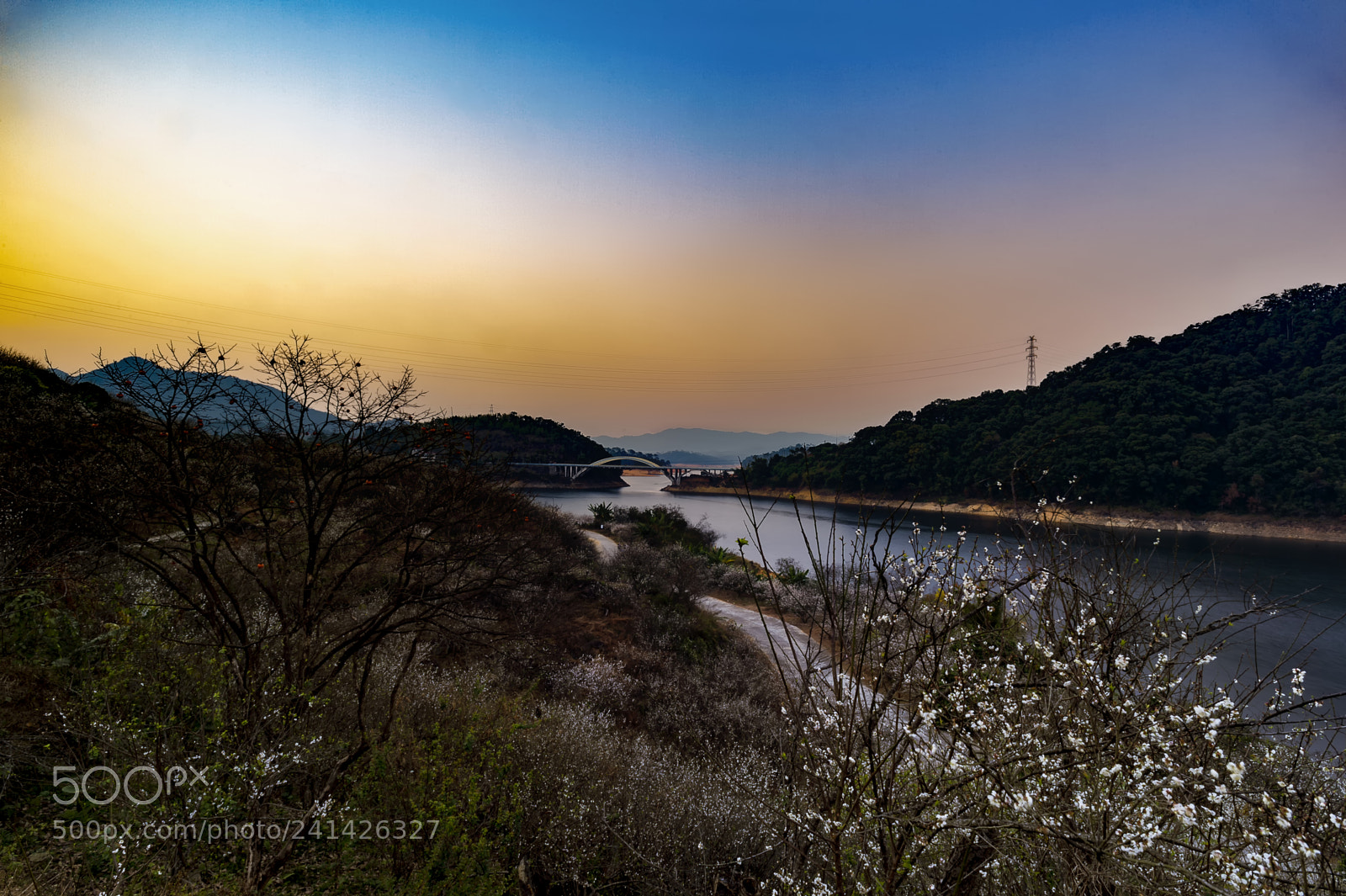 Nikon Df sample photo. Plum blossom river and photography
