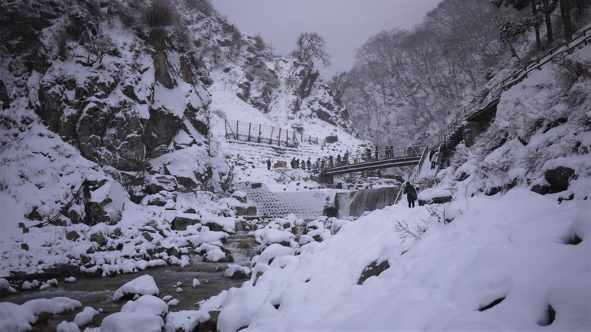 Panasonic Lumix DMC-GF3 sample photo. Winter snow @ snow monkey resort photography