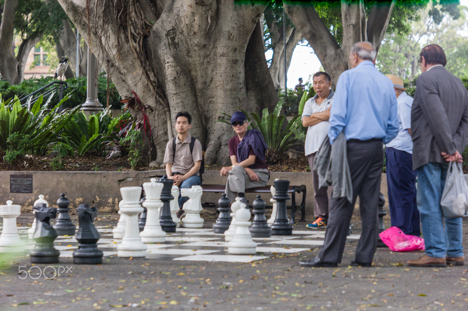 Tele-Elmar-M 135mm f/4 (II) sample photo. In the park photography