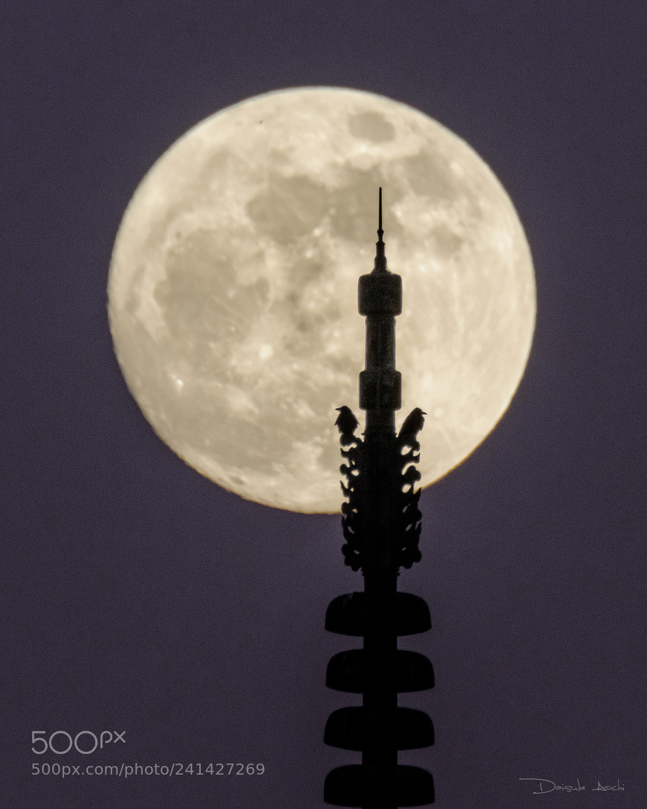 Fujifilm X-T2 sample photo. Moon in the birds photography