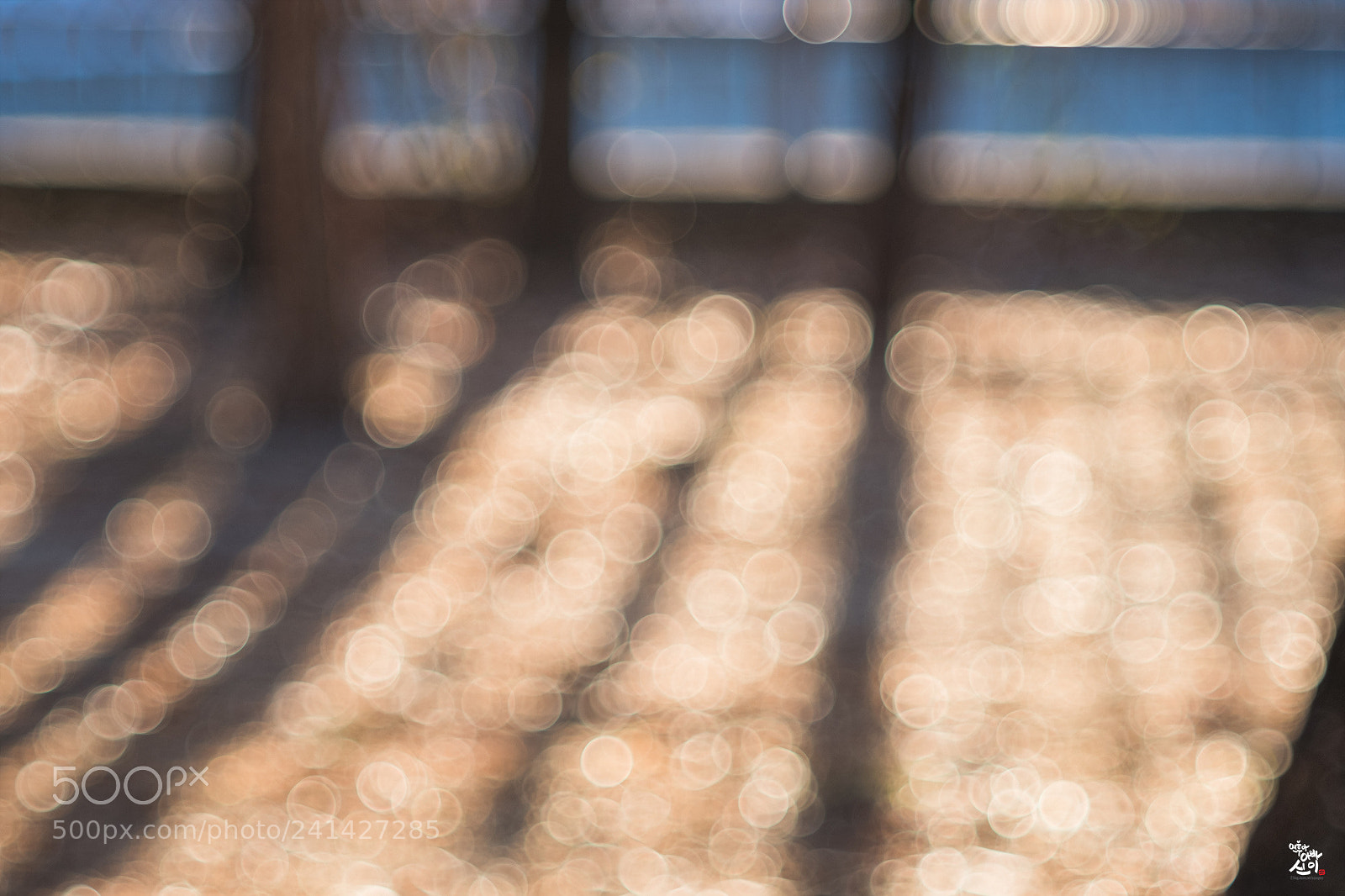 Fujifilm X-T2 sample photo. Ground bokeh photography