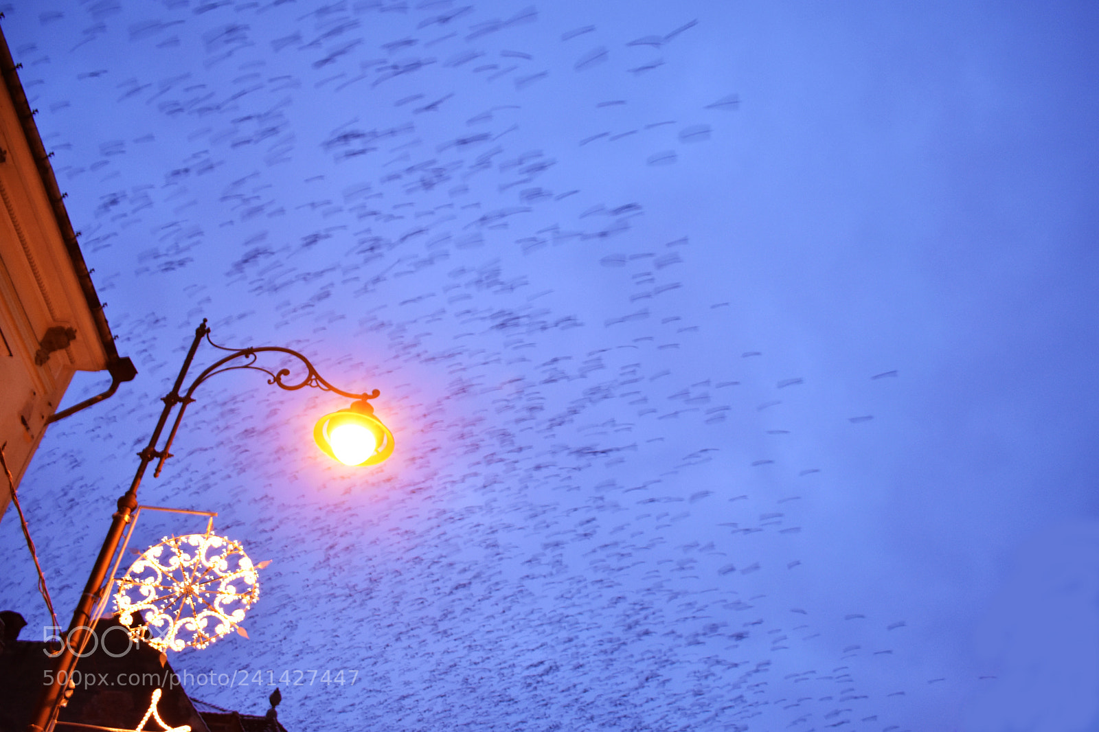 Nikon D3400 sample photo. Movement photography