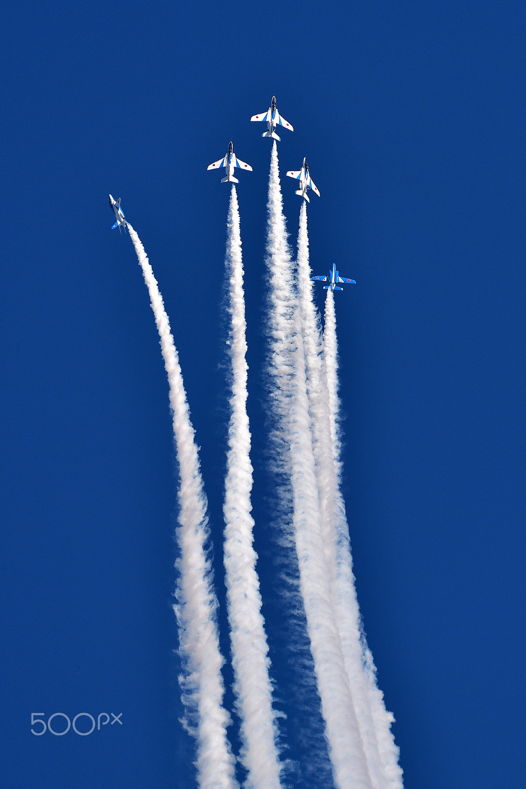 Nikon AF-S Nikkor 200-500mm F5.6E ED VR sample photo. Upward air bloom photography