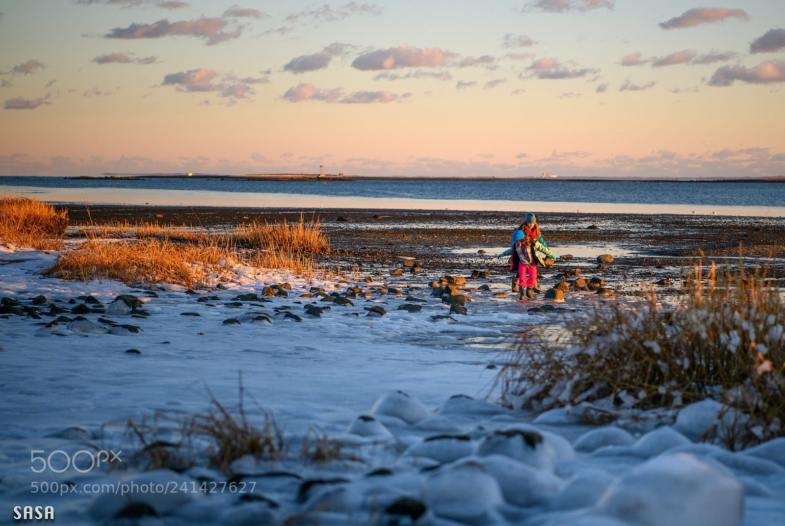 Nikon D850 sample photo. Frozen beach photography