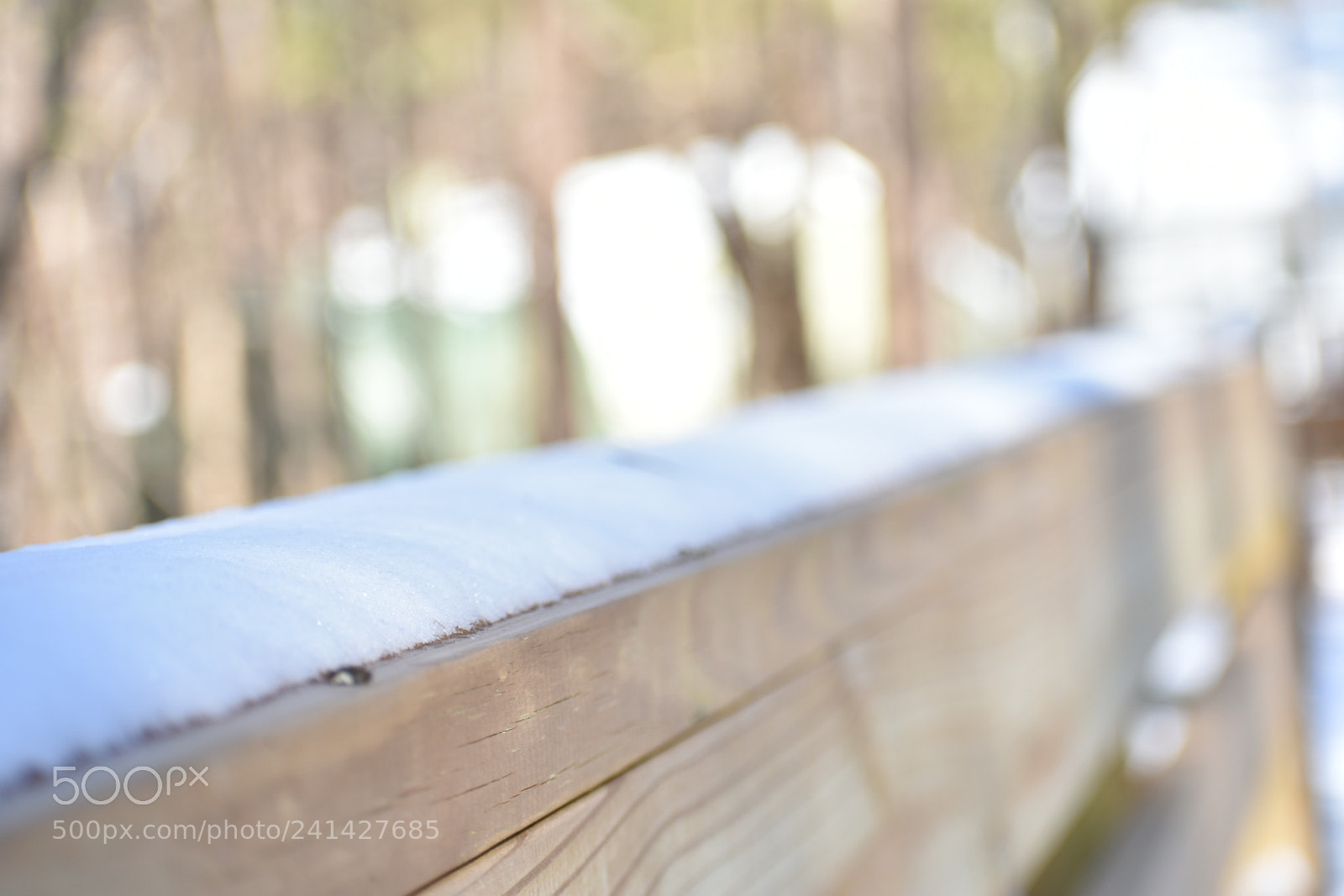Nikon D3400 sample photo. Snow day photography