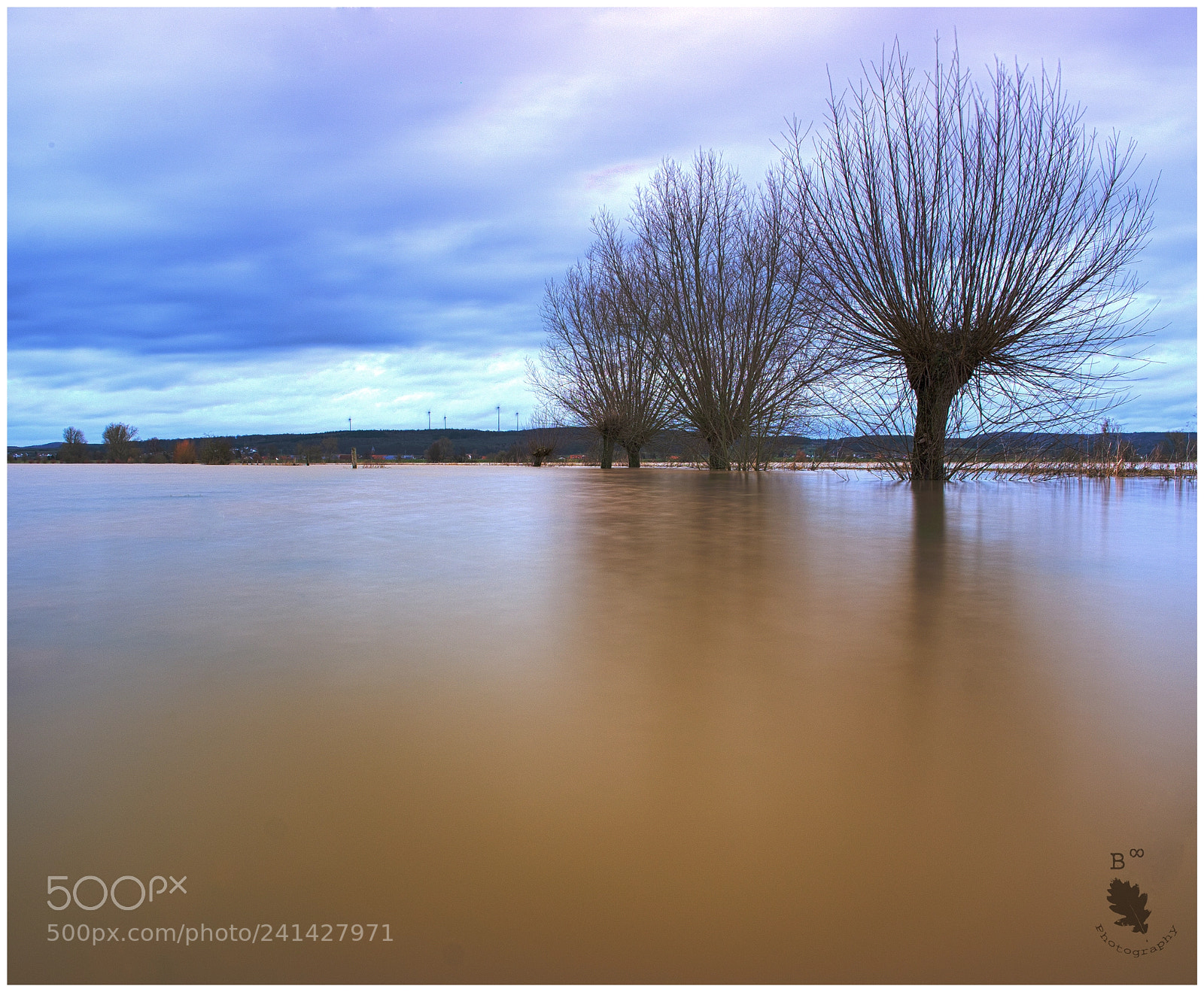 Fujifilm X-T10 sample photo. Lonely willows in flooded photography