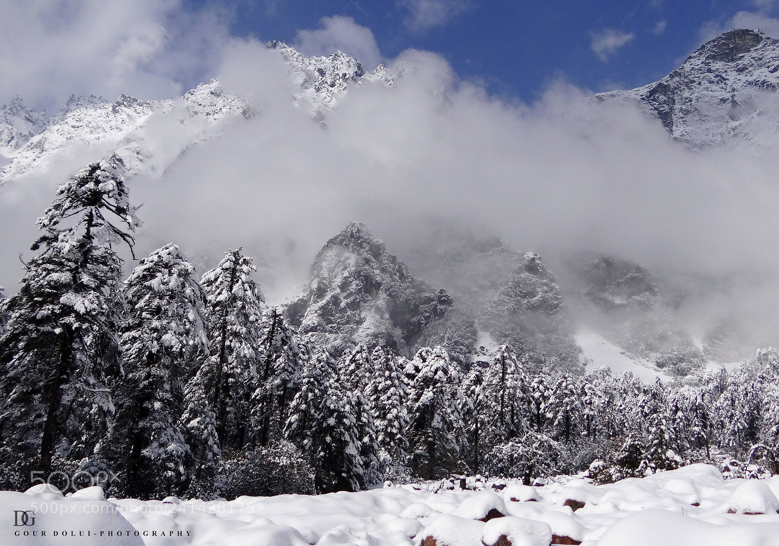 Sony DSC-HX200V sample photo. Beauty of winter photography