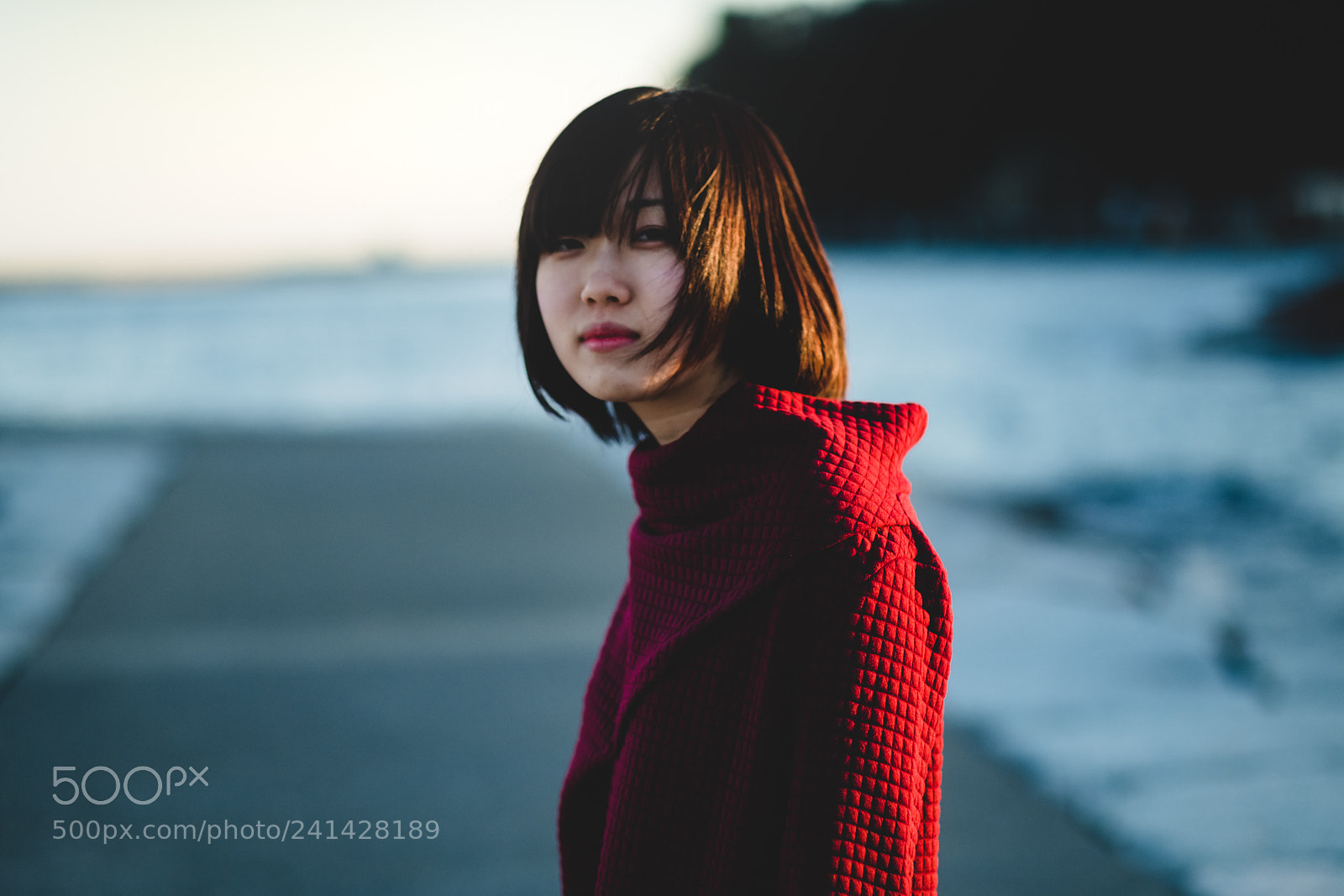 Fujifilm X-T2 sample photo. Untitled photography