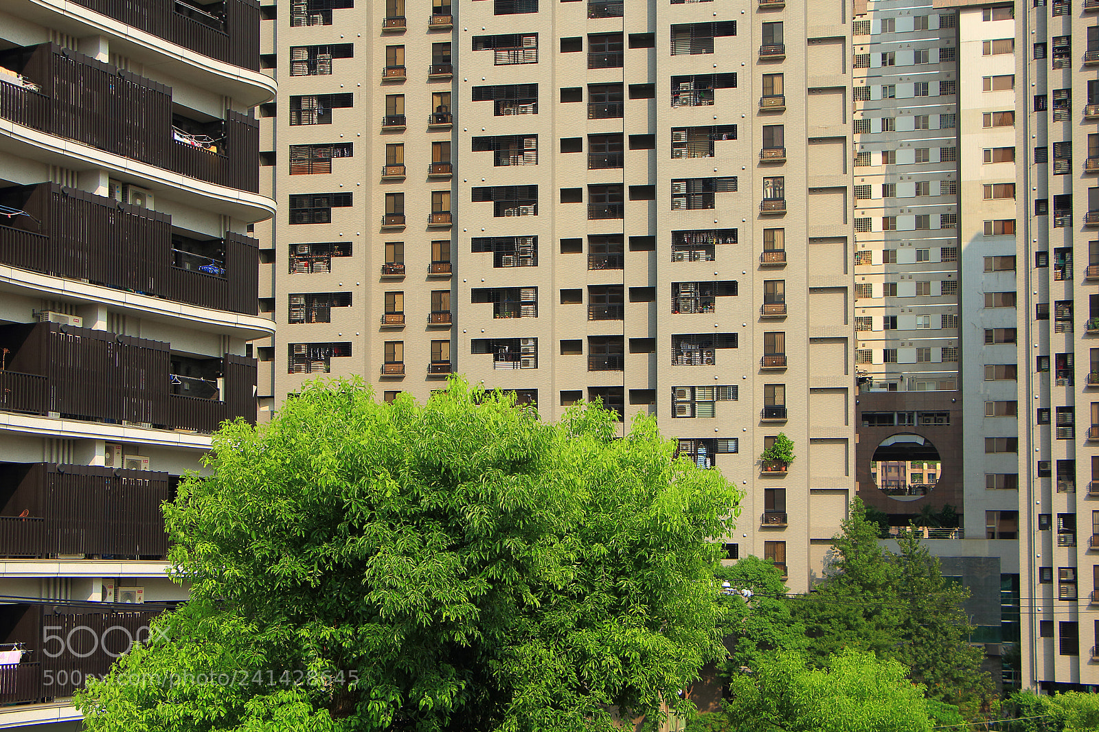 Canon EOS 650D (EOS Rebel T4i / EOS Kiss X6i) sample photo. #urban_pores photography