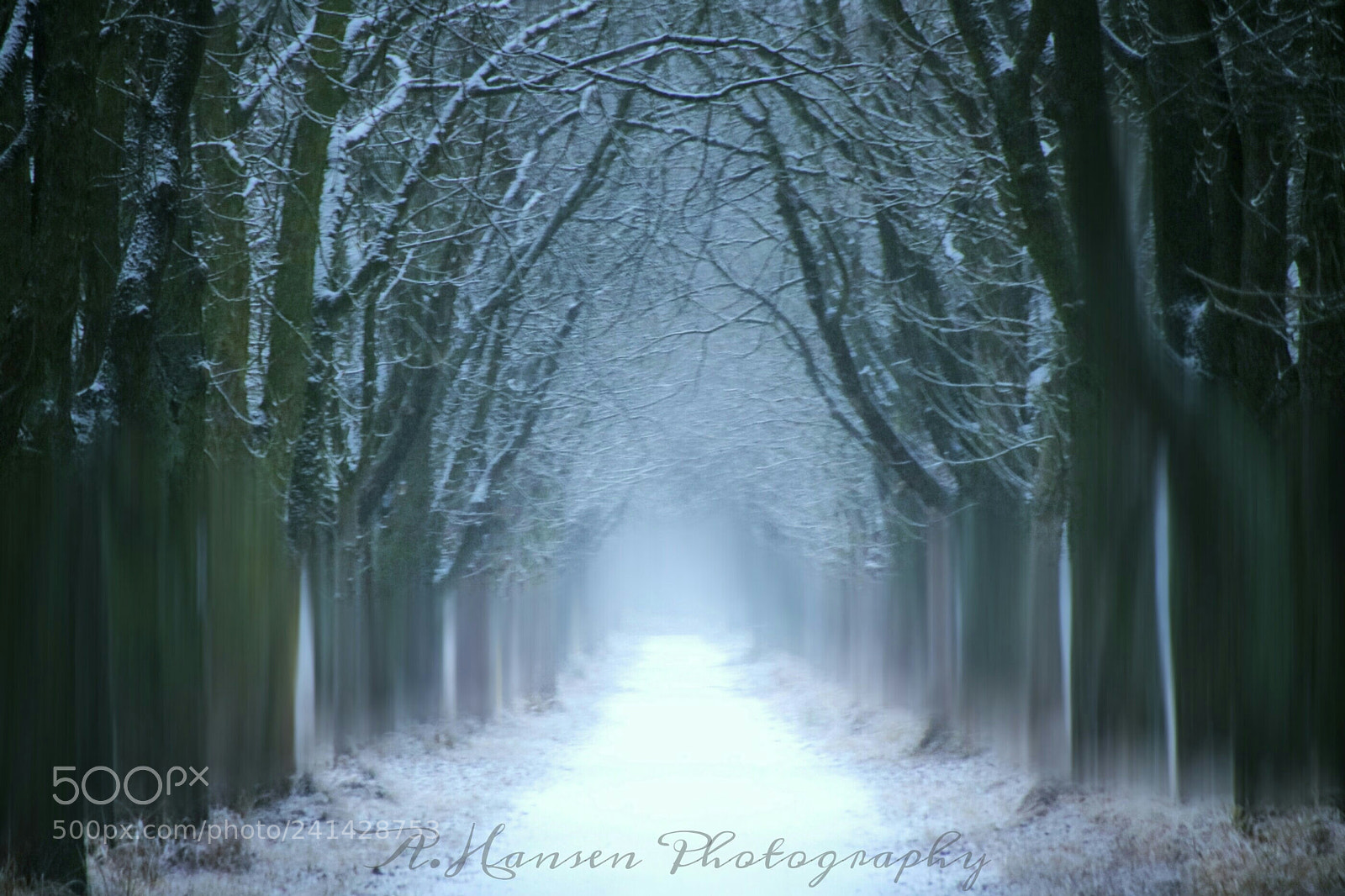 Canon EOS 750D (EOS Rebel T6i / EOS Kiss X8i) sample photo. The white lane photography