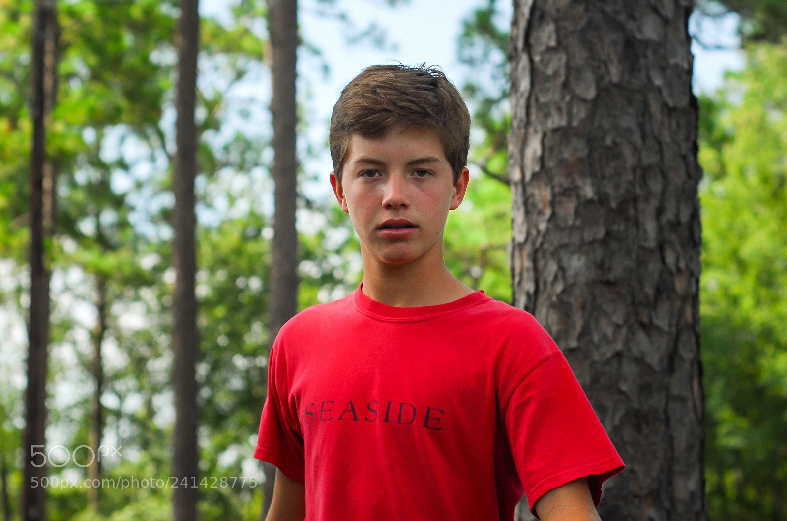 Nikon D200 sample photo. Arthur photography