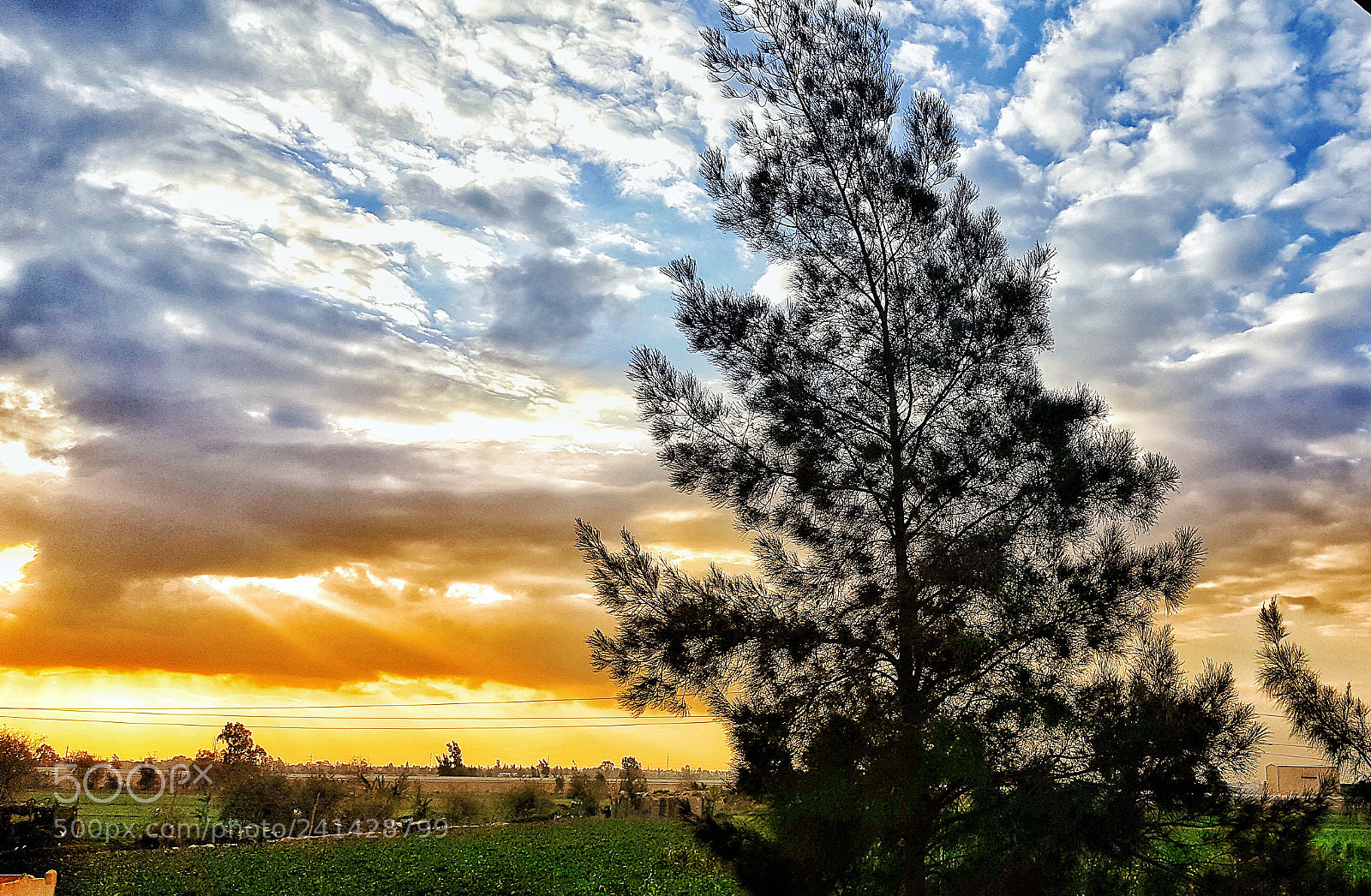 Samsung Galaxy Note5 sample photo. Winter in egypt photography