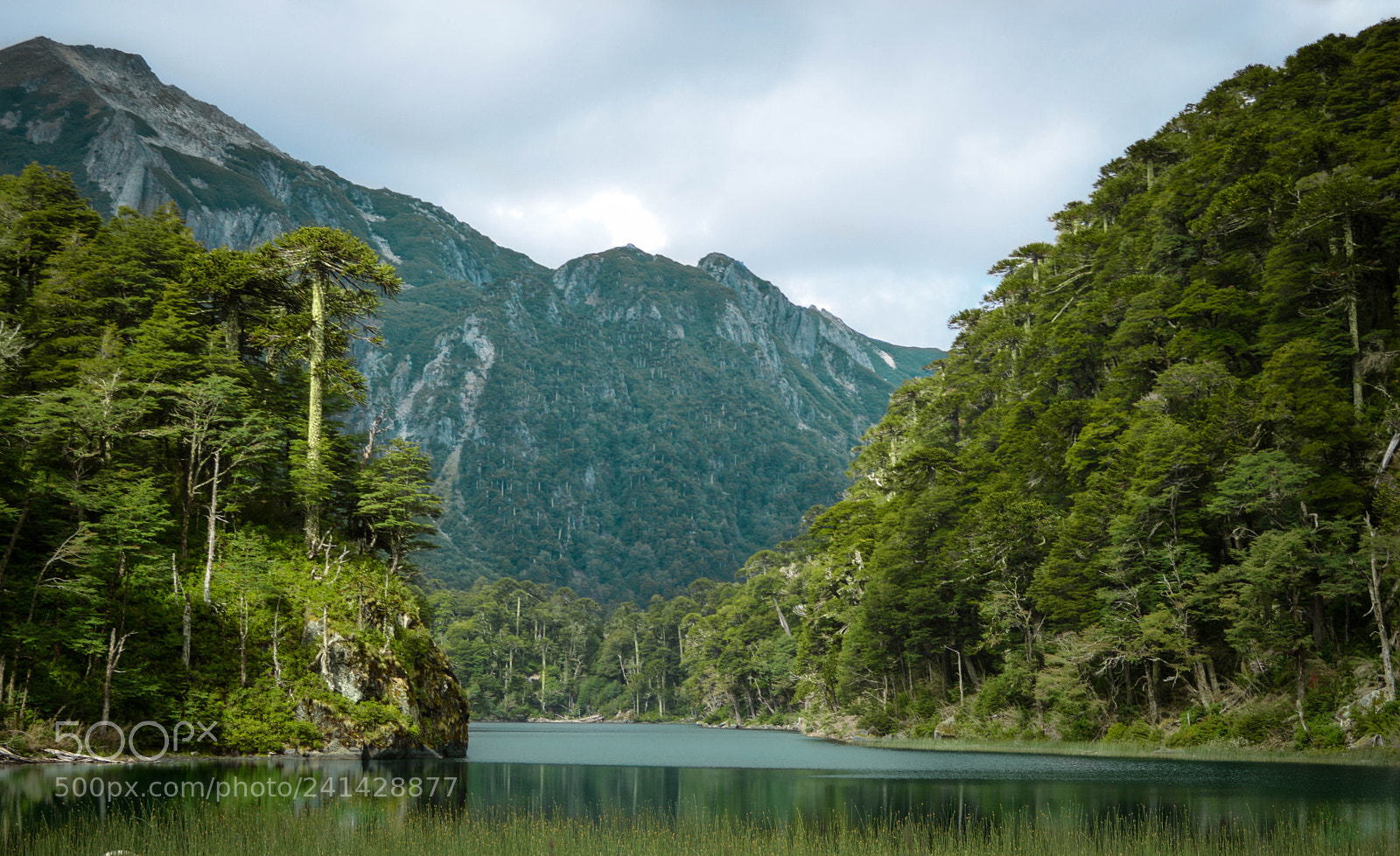 Nikon D3200 sample photo. Lake and mountain huerquehue photography