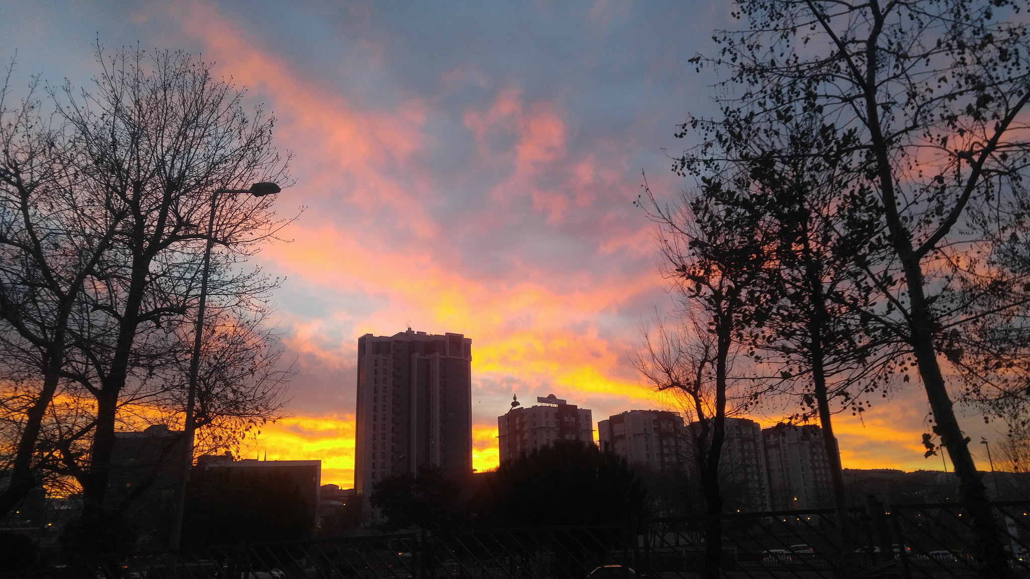 LG V10 sample photo
