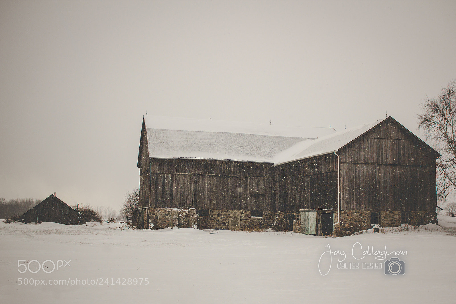 Canon EOS 60D sample photo. Snow falls on the photography